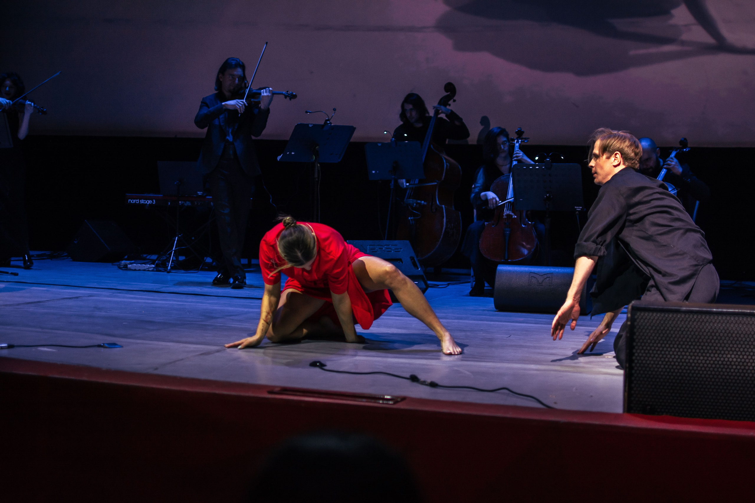 Концерт оркестра Cinematica. Репортажный фотограф в Новосибирске