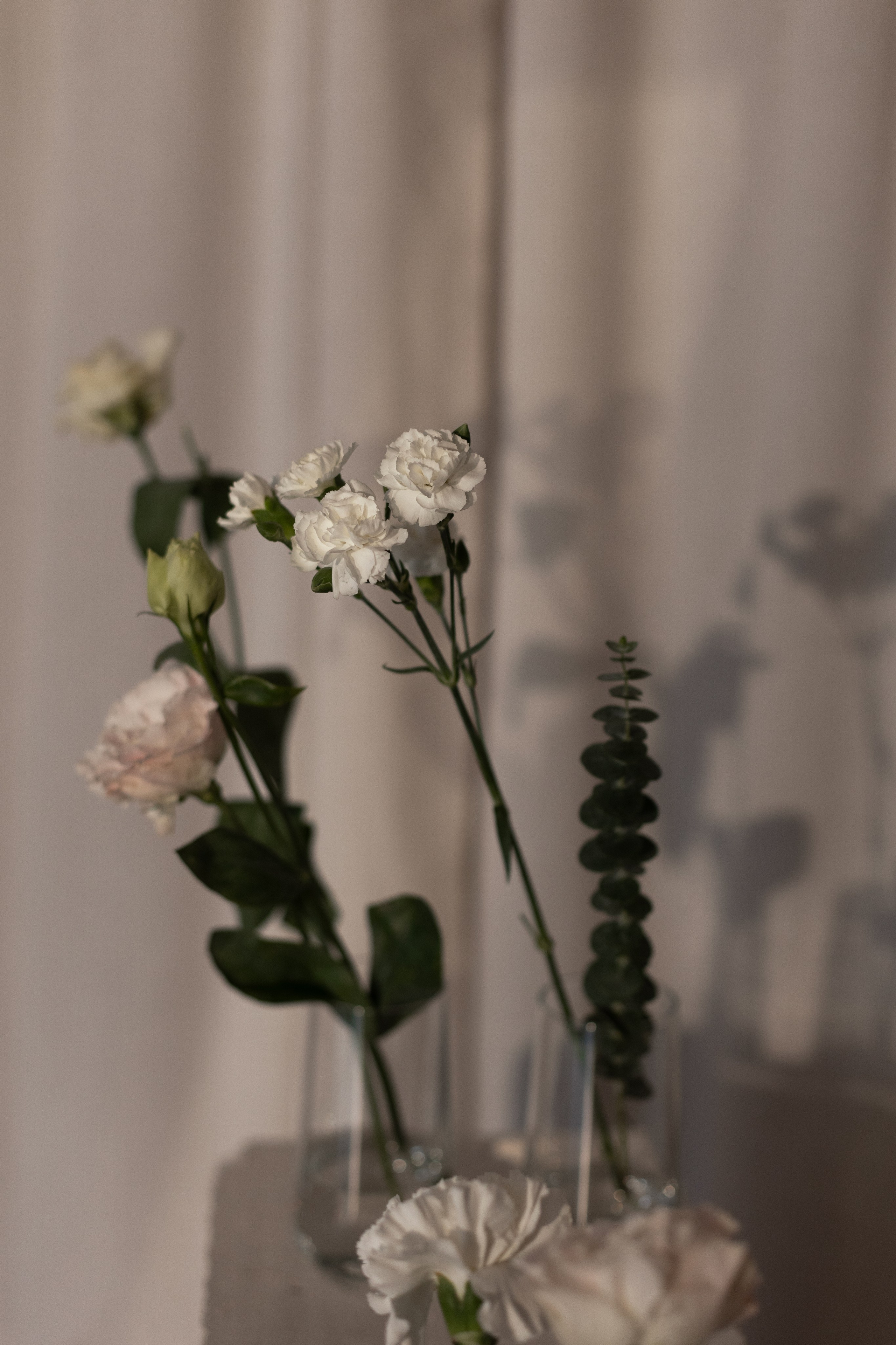 Елизавета и Алексей. Фотограф Алина Кучумова