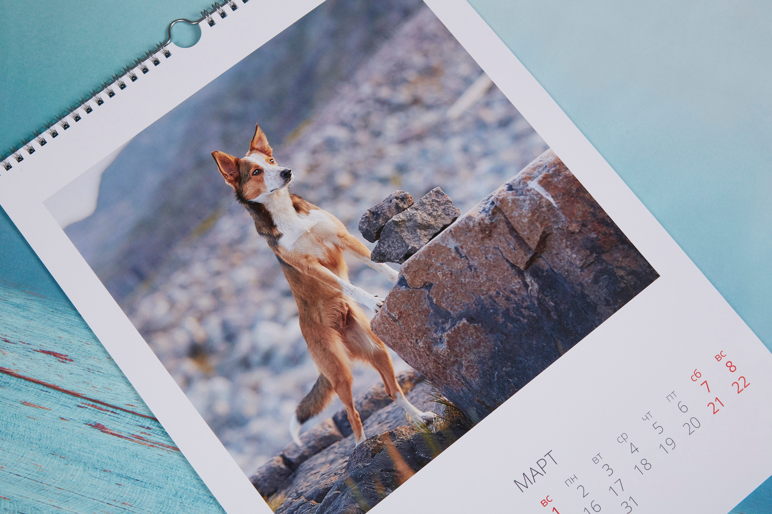 Календарь А3. Перекидной