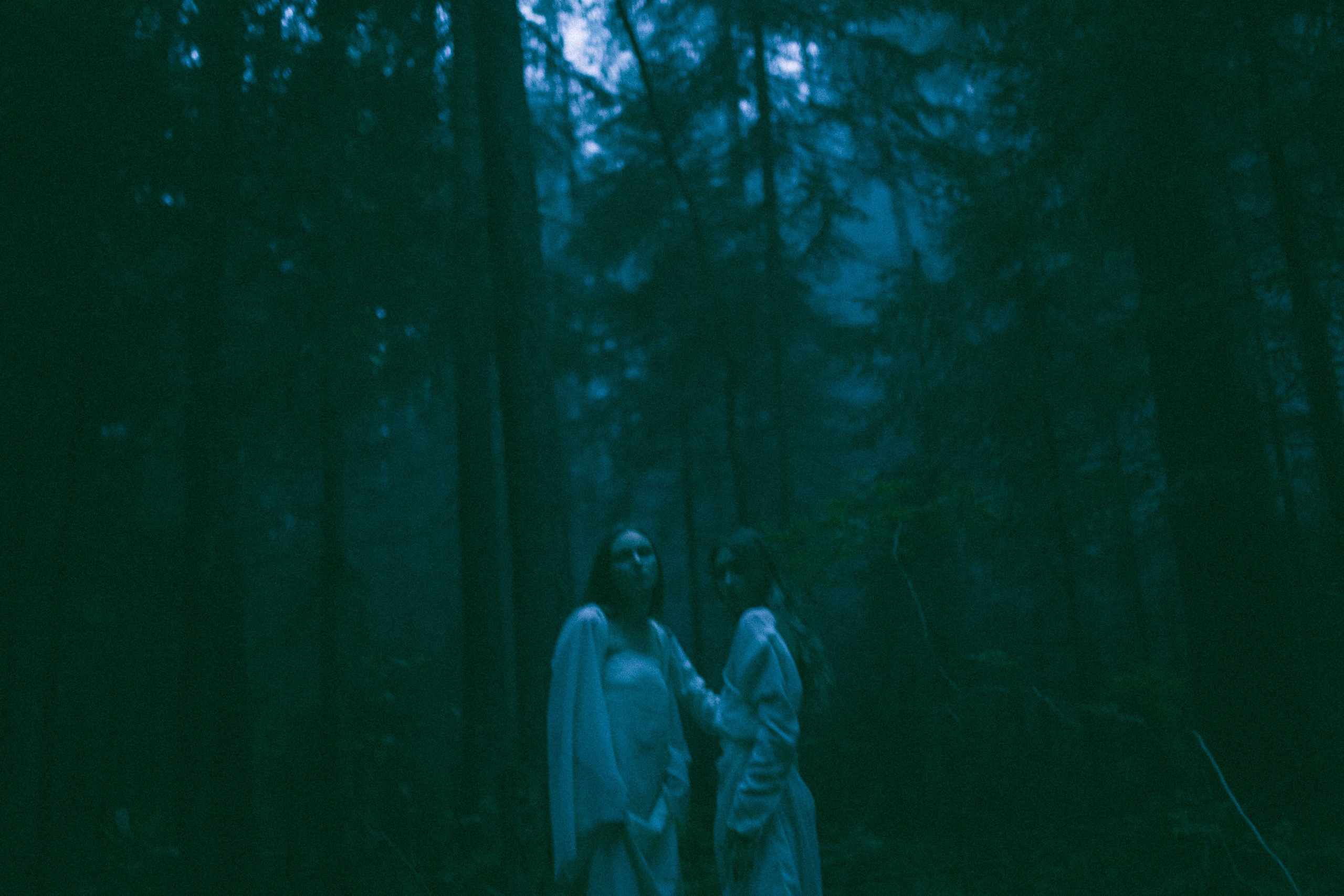 Две девушки в темном лесу