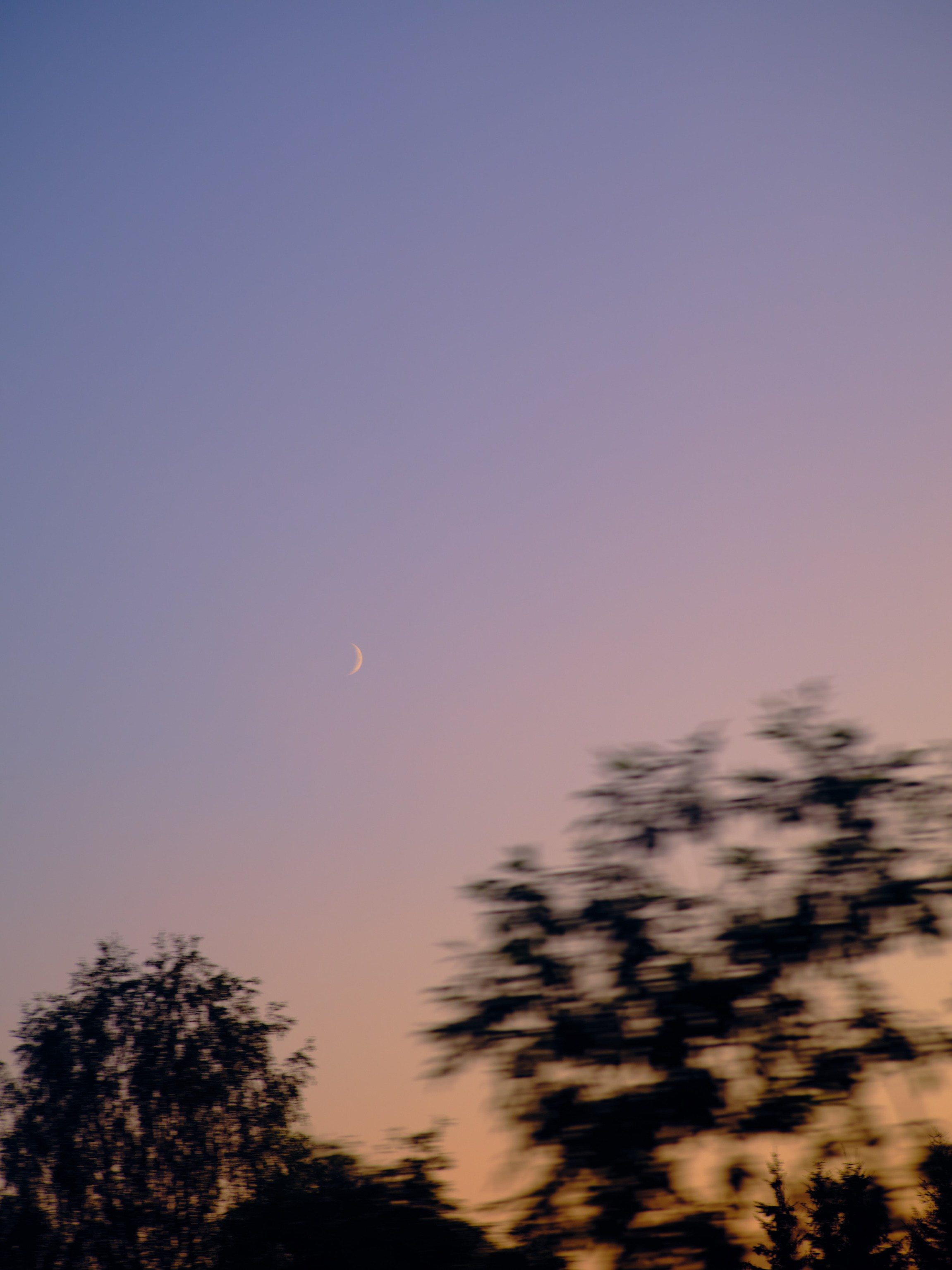 Фотограф Юлия Глазкова