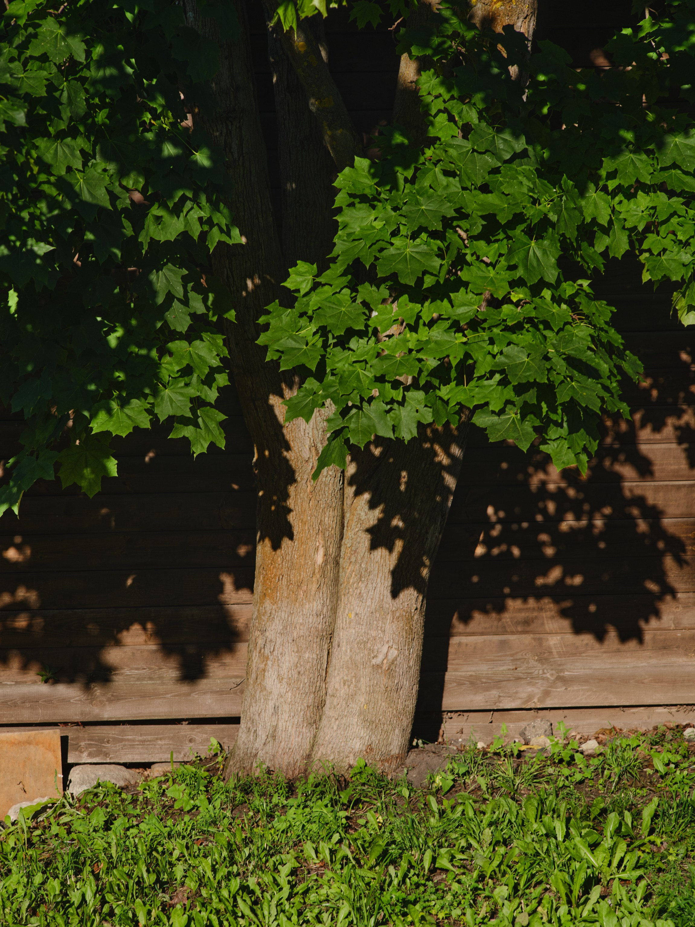Фотограф Юлия Глазкова