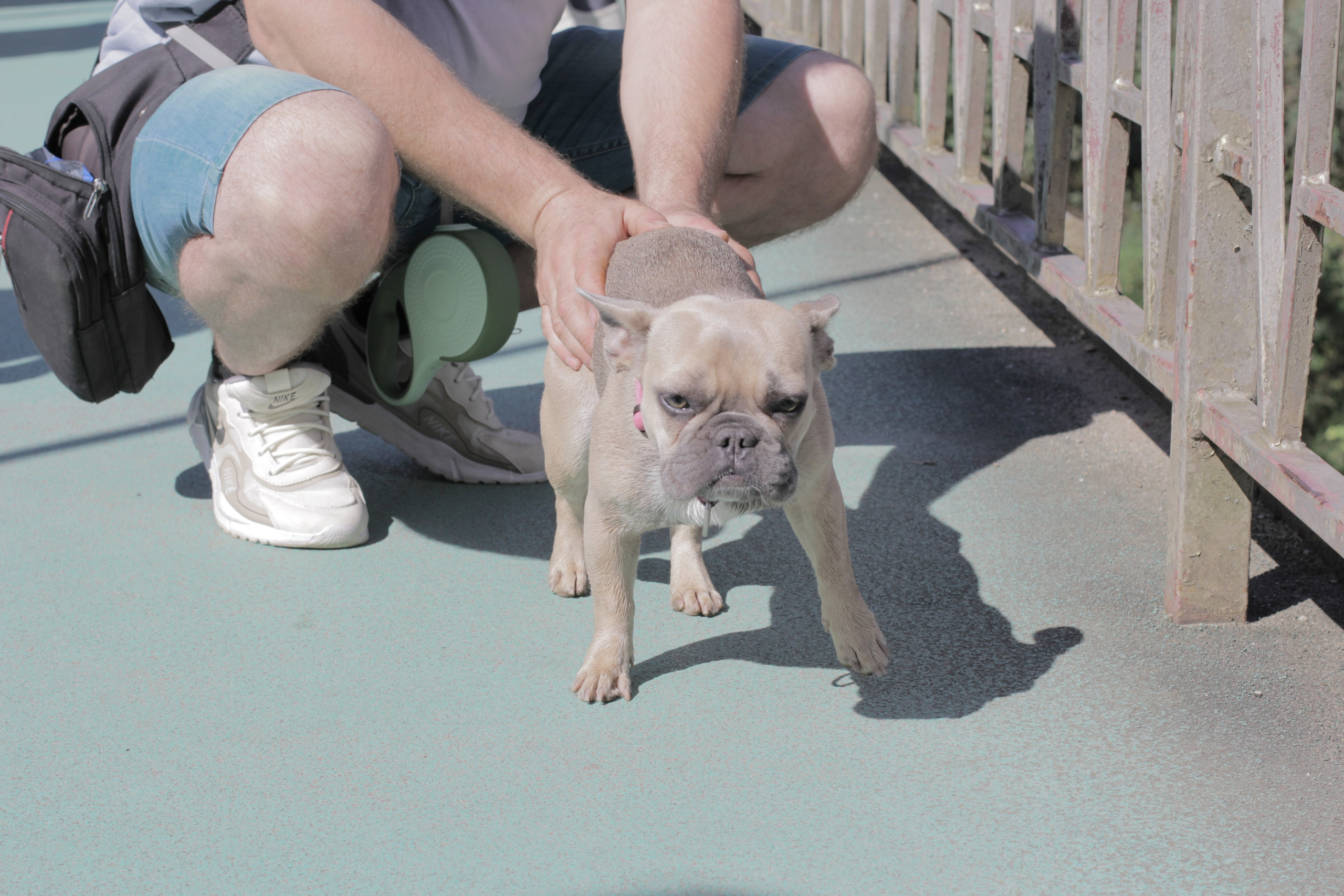 Горячий Ключ (2024-09-22). Собор Отрасли