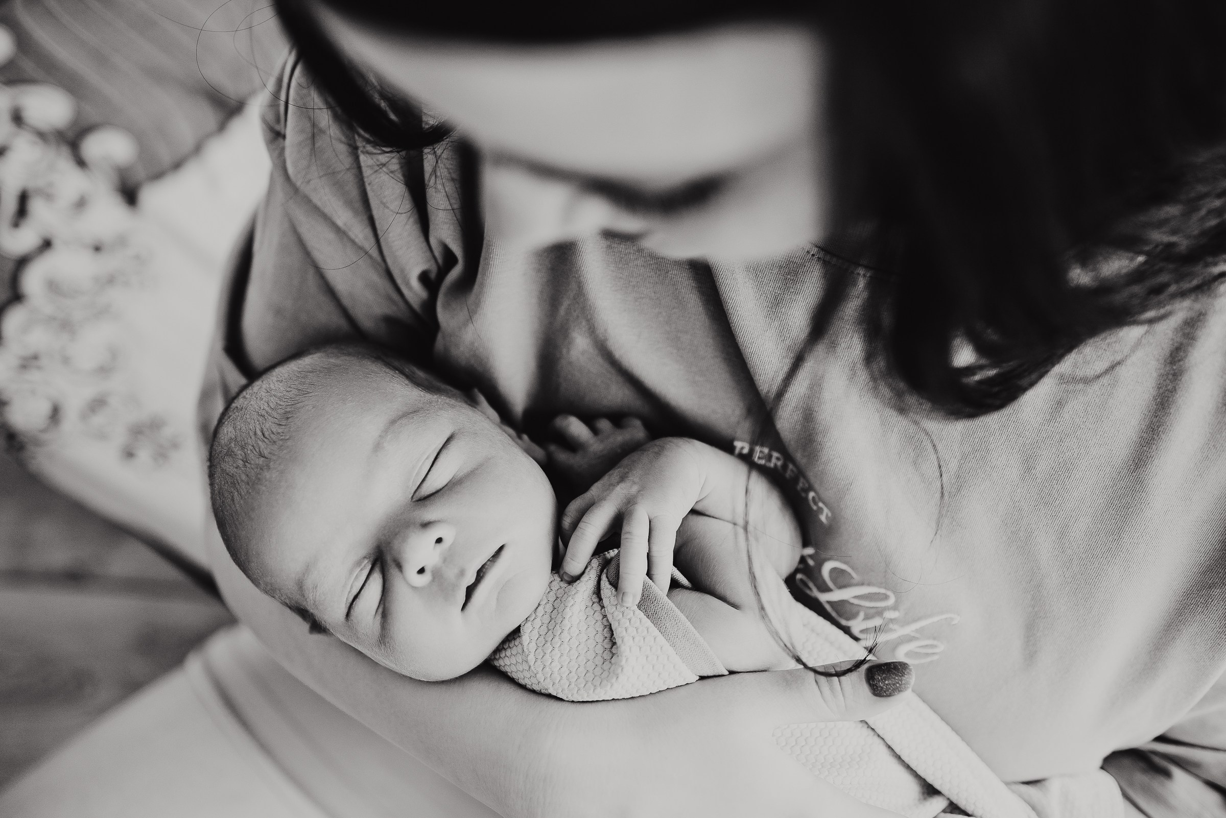 Лев. Фотограф в Москве новорожденные свадьбы семьи Дарья Ларионова