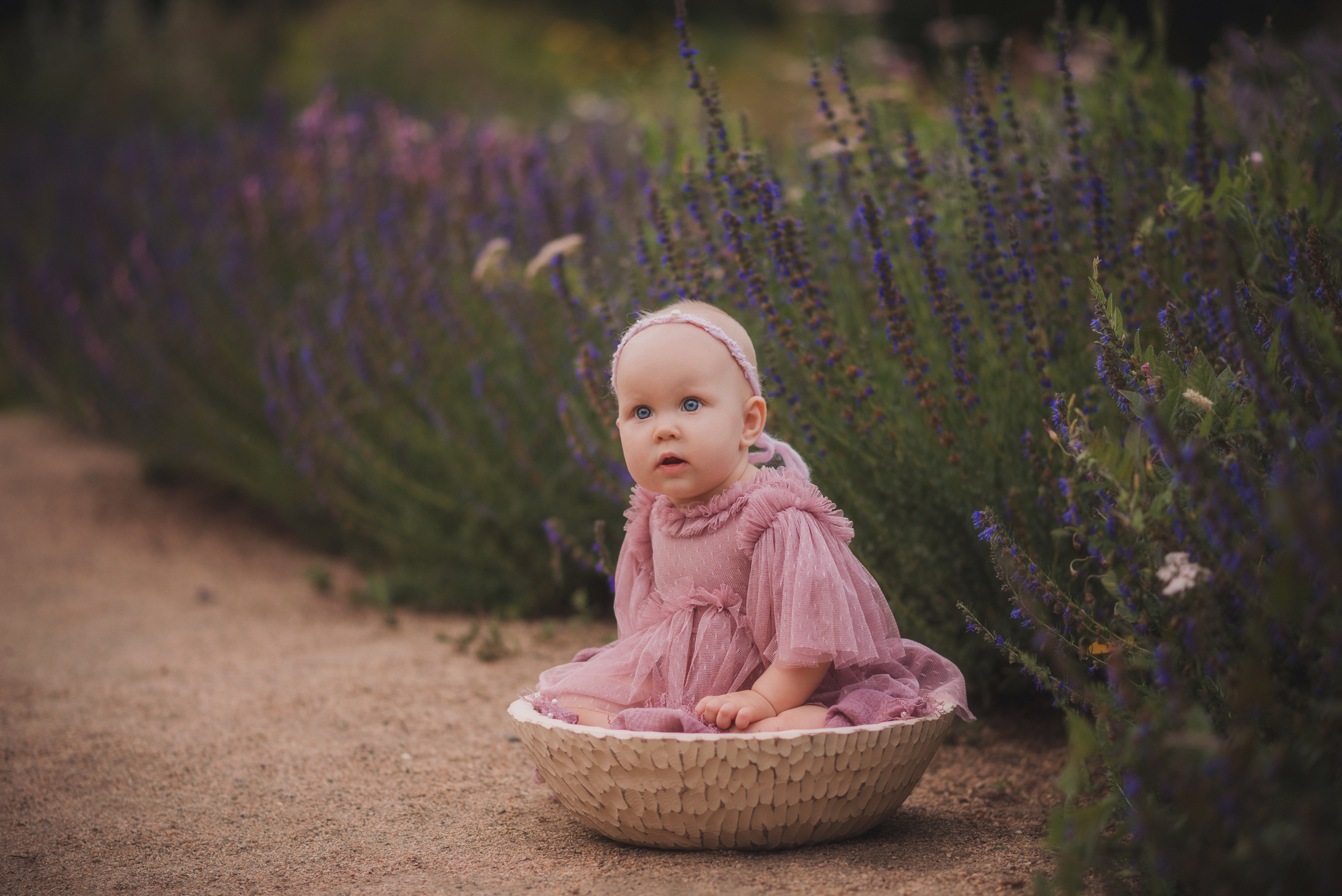 Детская фотосъемка. Фотограф беременности, новорожденных и детей до года в Челябинске Волк