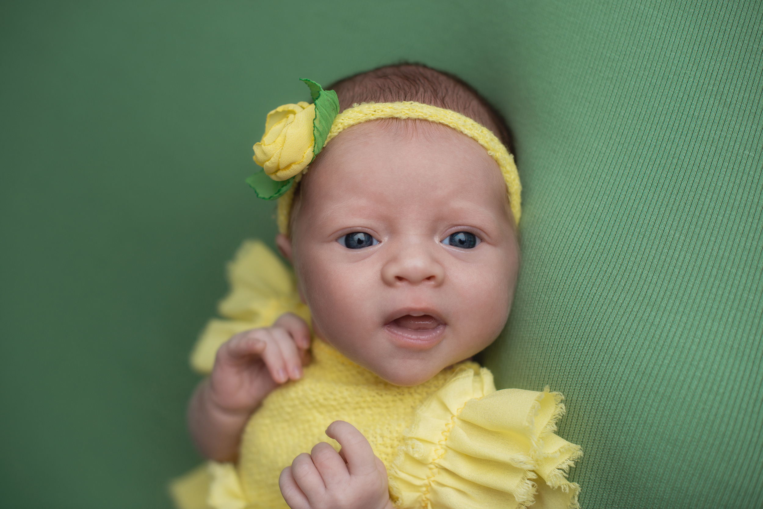 Фотосъемка новорожденного. Фотограф беременности, новорожденных и детей до года в Челябинске Волк