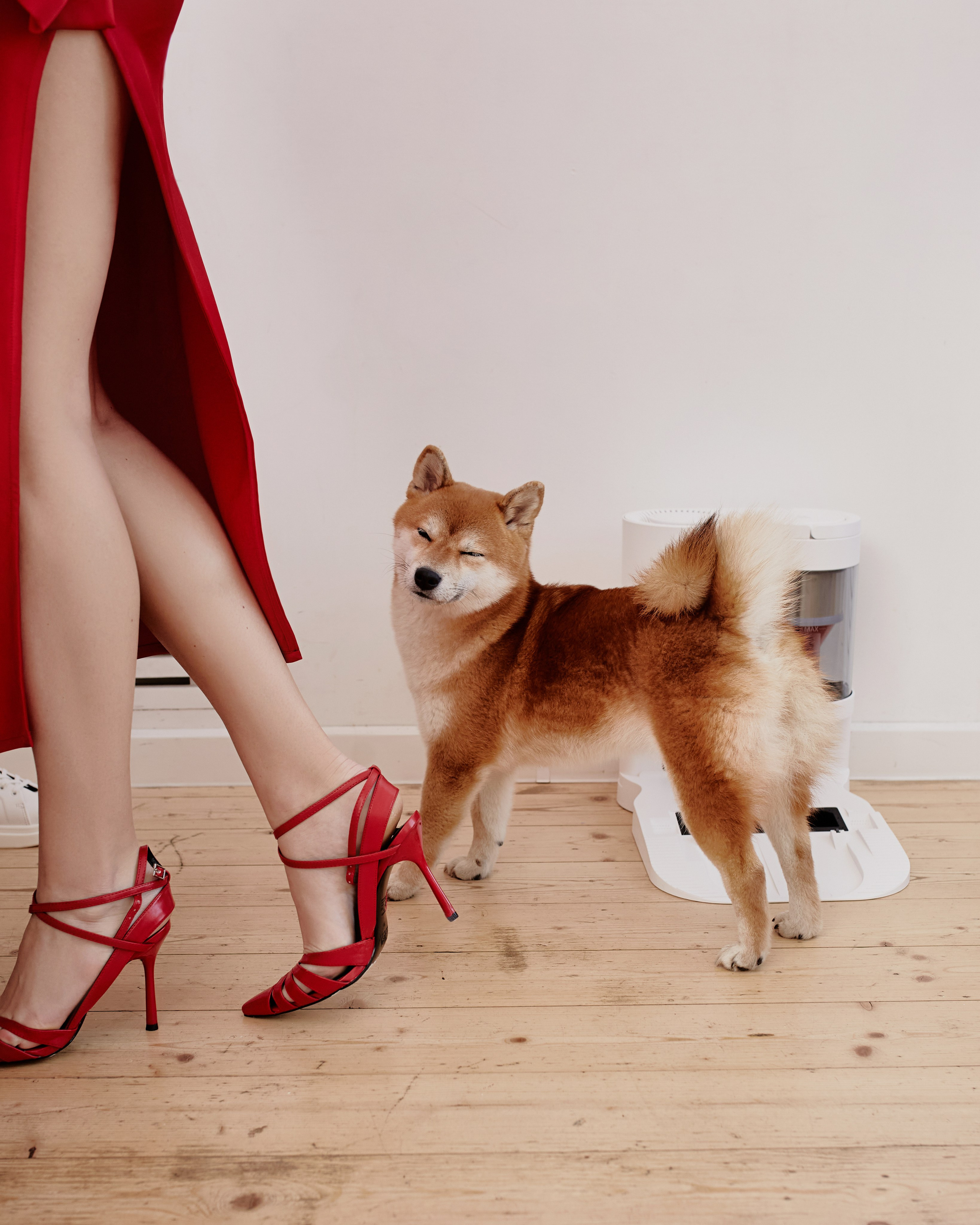 ROBOROCK NY. Фотограф Sasha Saunder