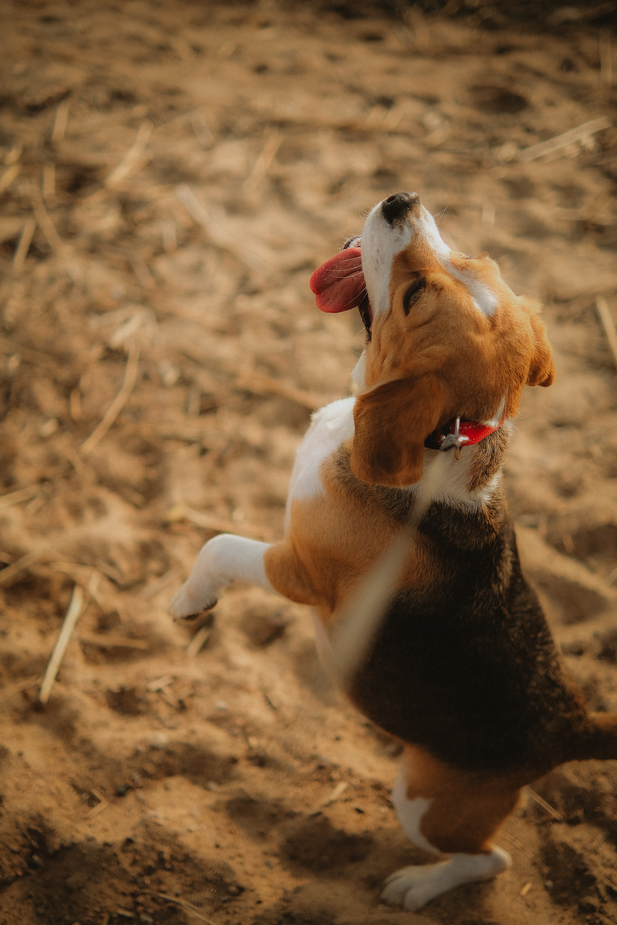 Алина & Максим. Phdkvmr.ru