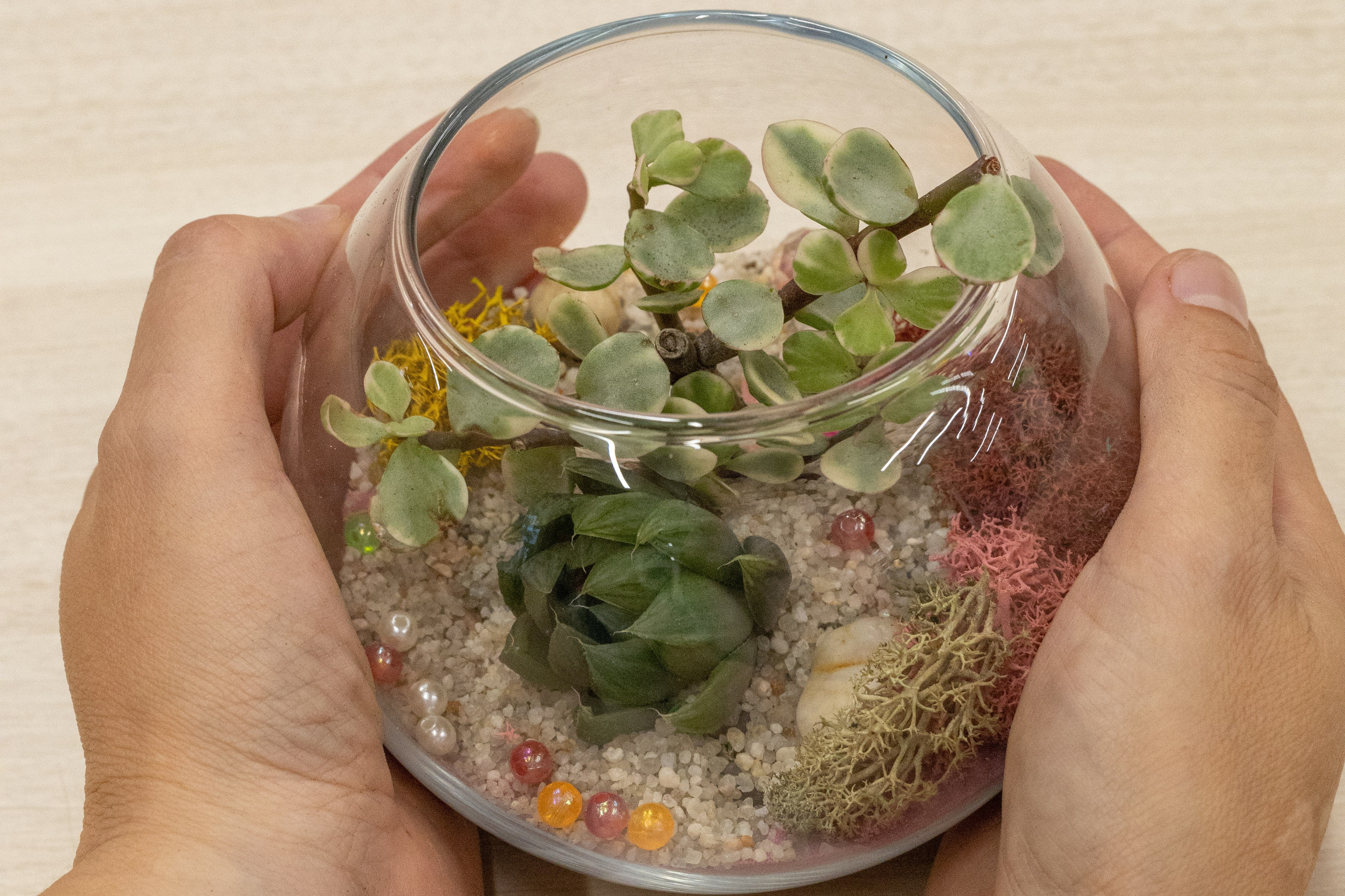 Репортажная съемка мероприятий. Семейный и свадебный фотограф в Москве и Домодедово Анна Авилочкина