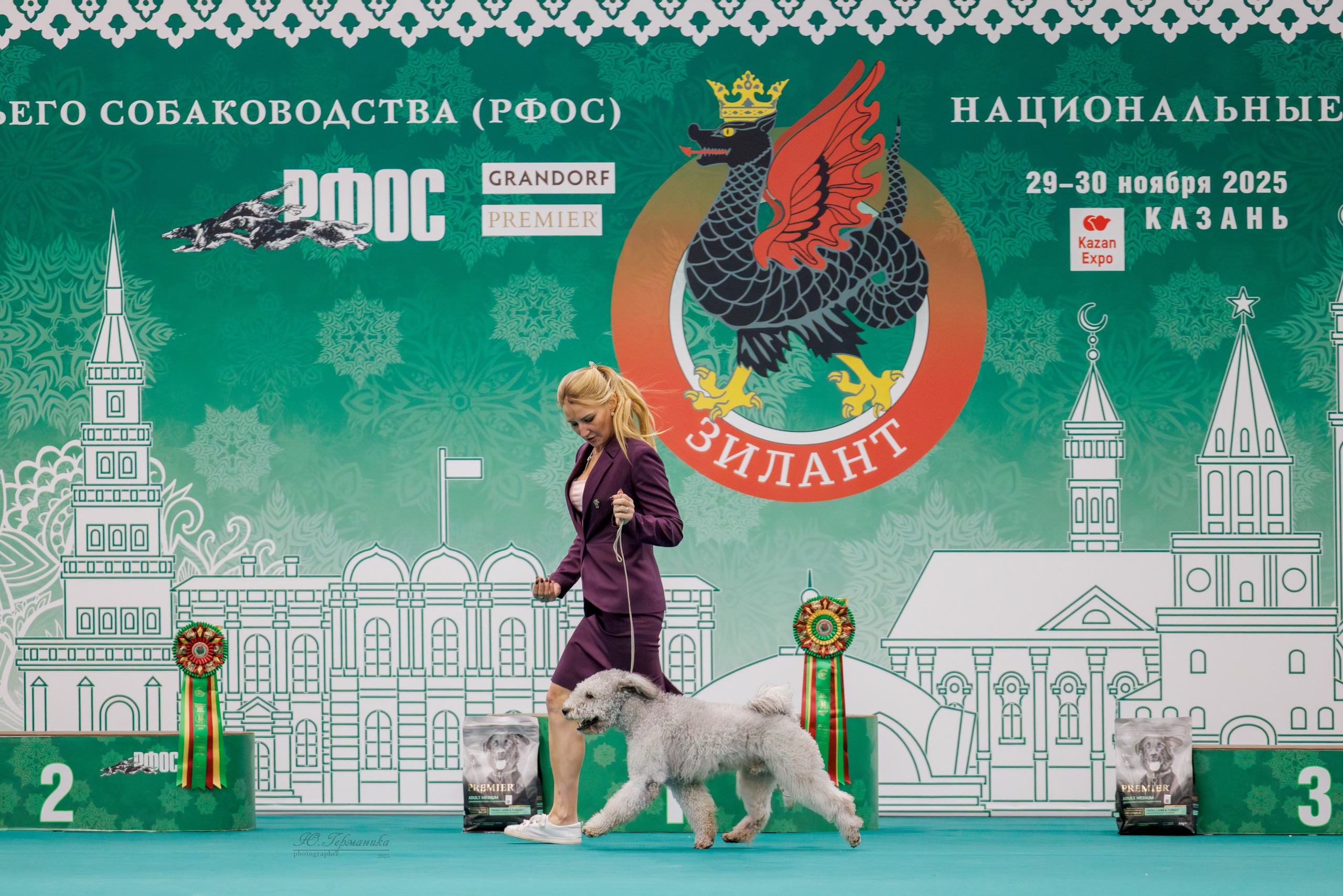 Зилант Казань 29-30.11.2025. Фотограф-анималист Юлия Германика