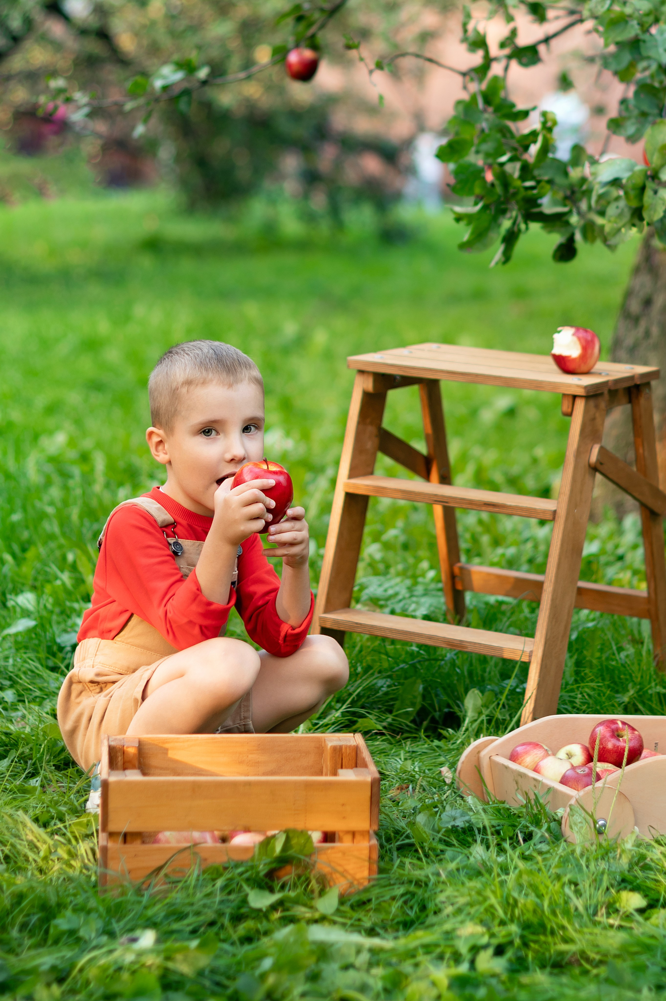 Яблоки. Детский и семейный фотограф г. Москва Оксана Катаджи