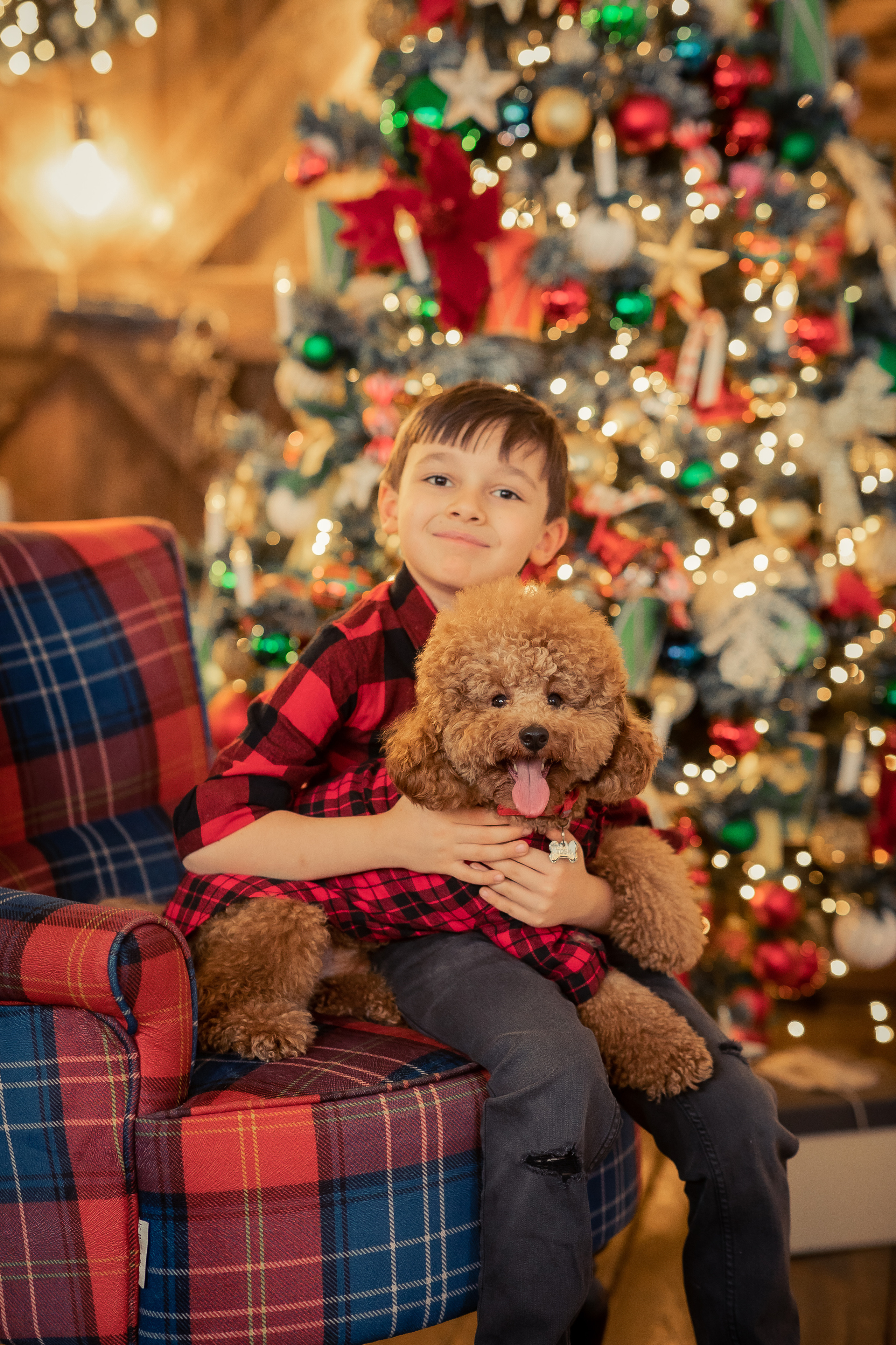 Анна Лебедева Фотограф детский семейная съемка женский портрет студийная съемка фотоконтент весенняя фотосессия фотопроект детская новогодняя Новый год фотосессия с животными