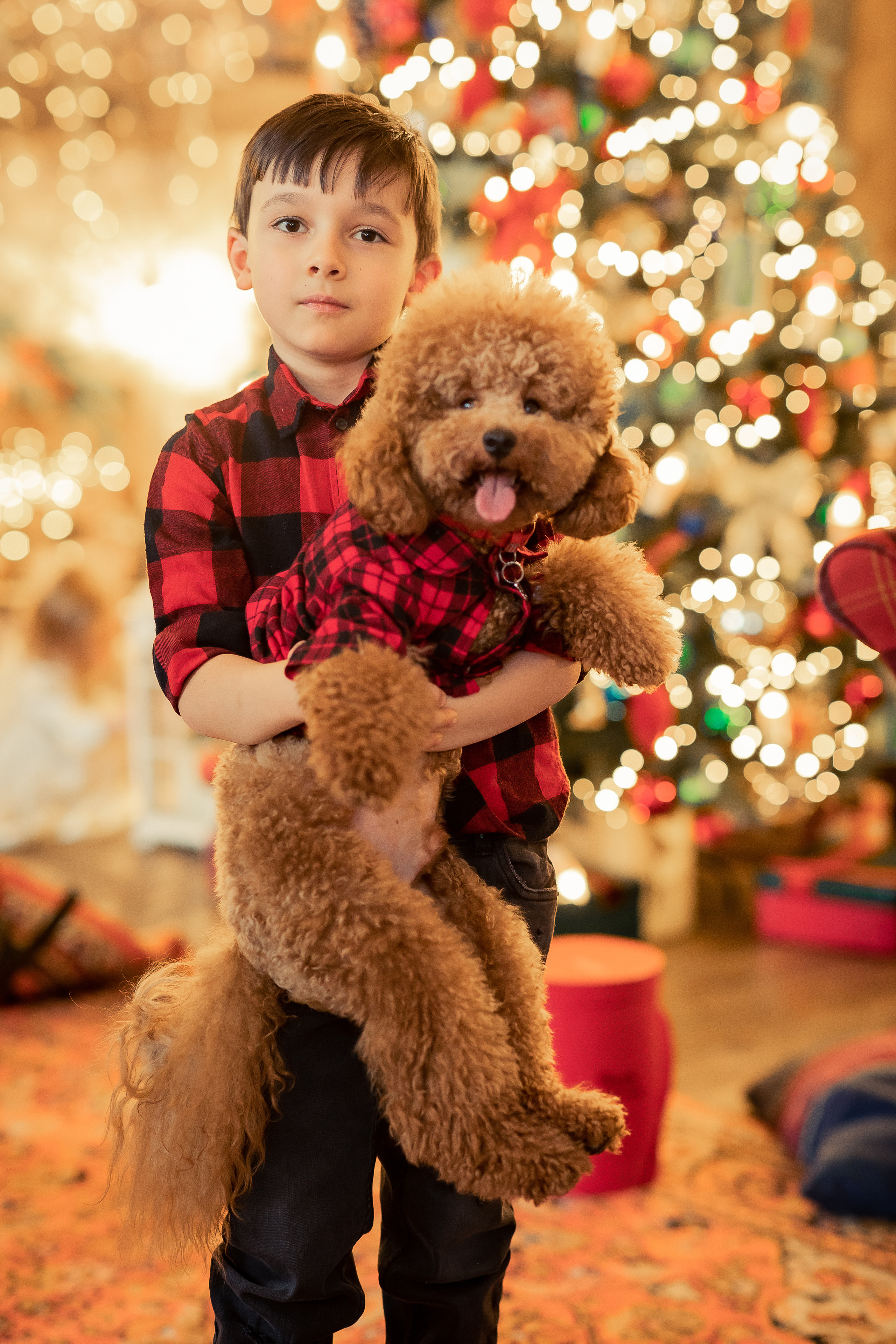 Анна Лебедева Фотограф детский семейная съемка женский портрет студийная съемка фотоконтент весенняя фотосессия фотопроект детская новогодняя Новый год