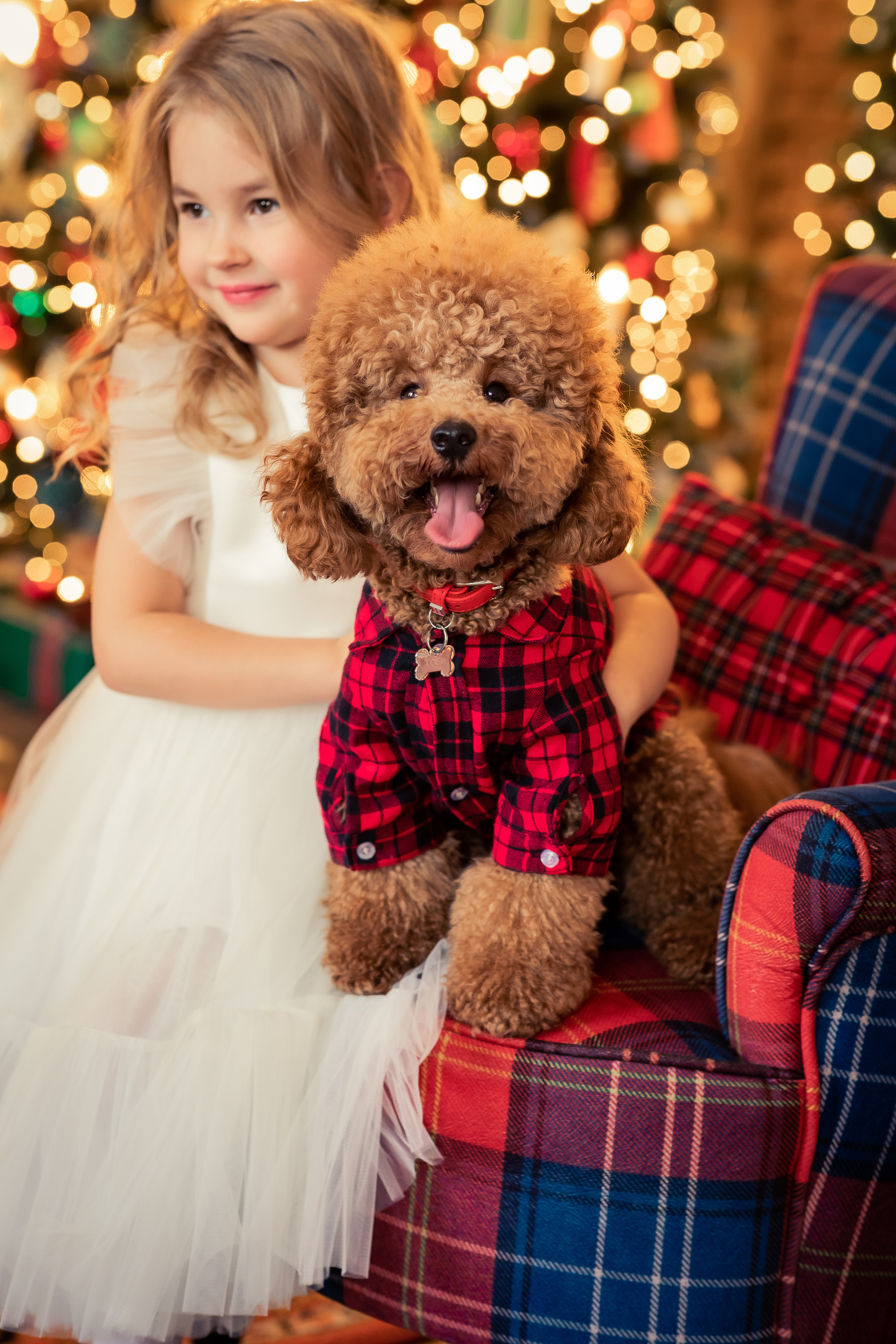 Анна Лебедева Фотограф детский семейная съемка женский портрет студийная съемка фотоконтент весенняя фотосессия фотопроект детская новогодняя Новый год