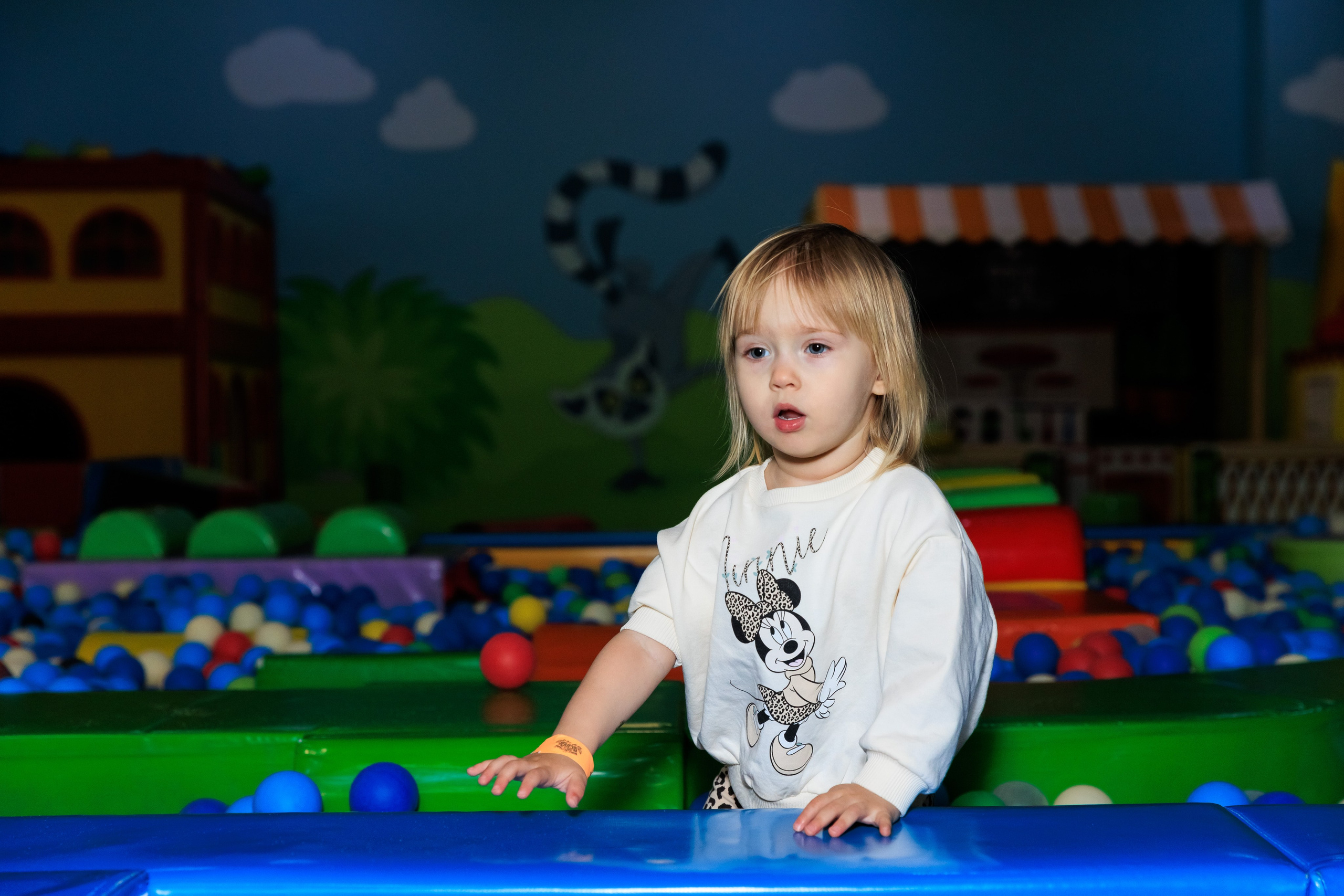 Весёлый остров. Фотограф Новосибирск — Наталья Гресь