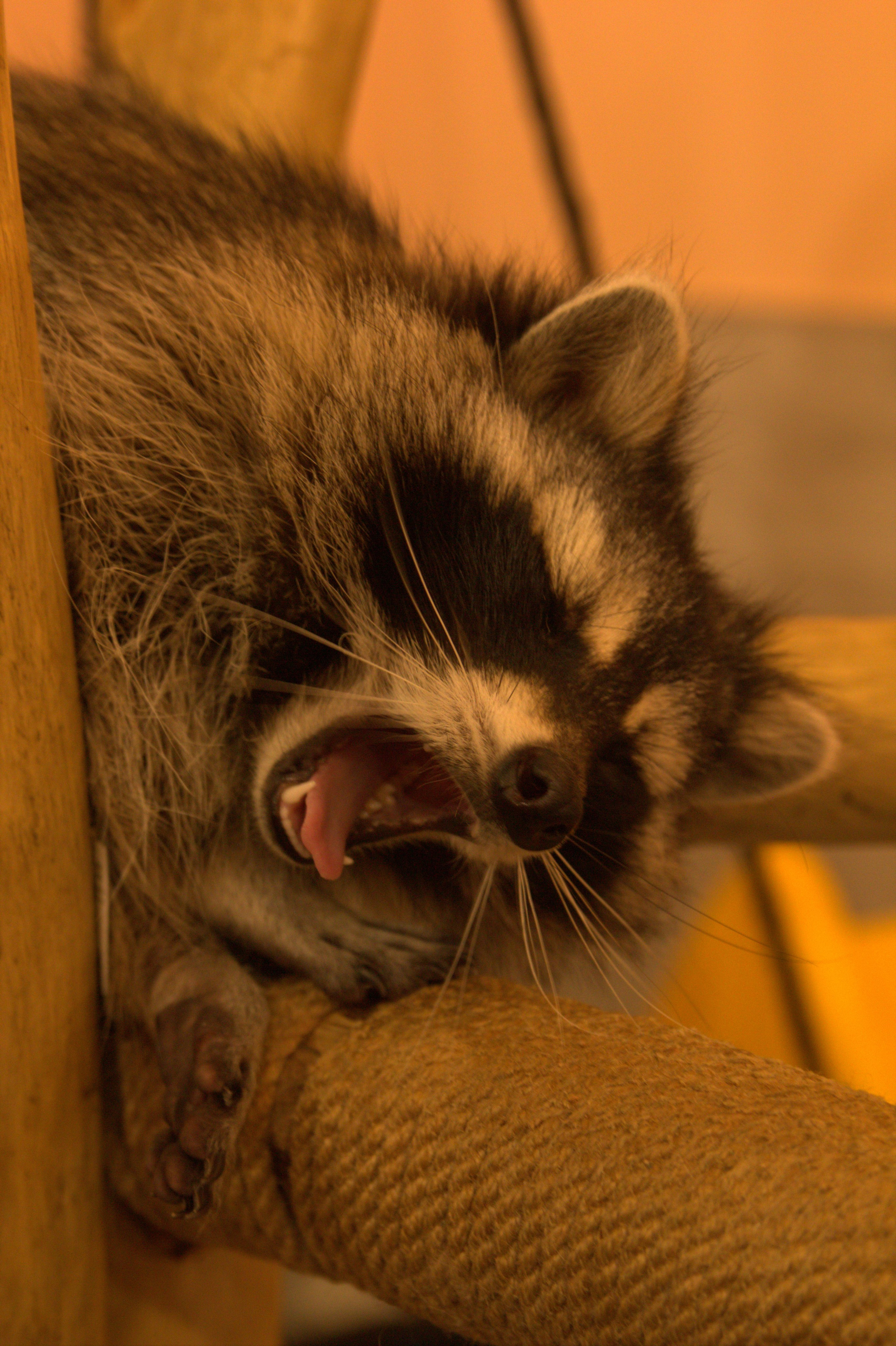 Портфолио. Фотограф в Москве Александра