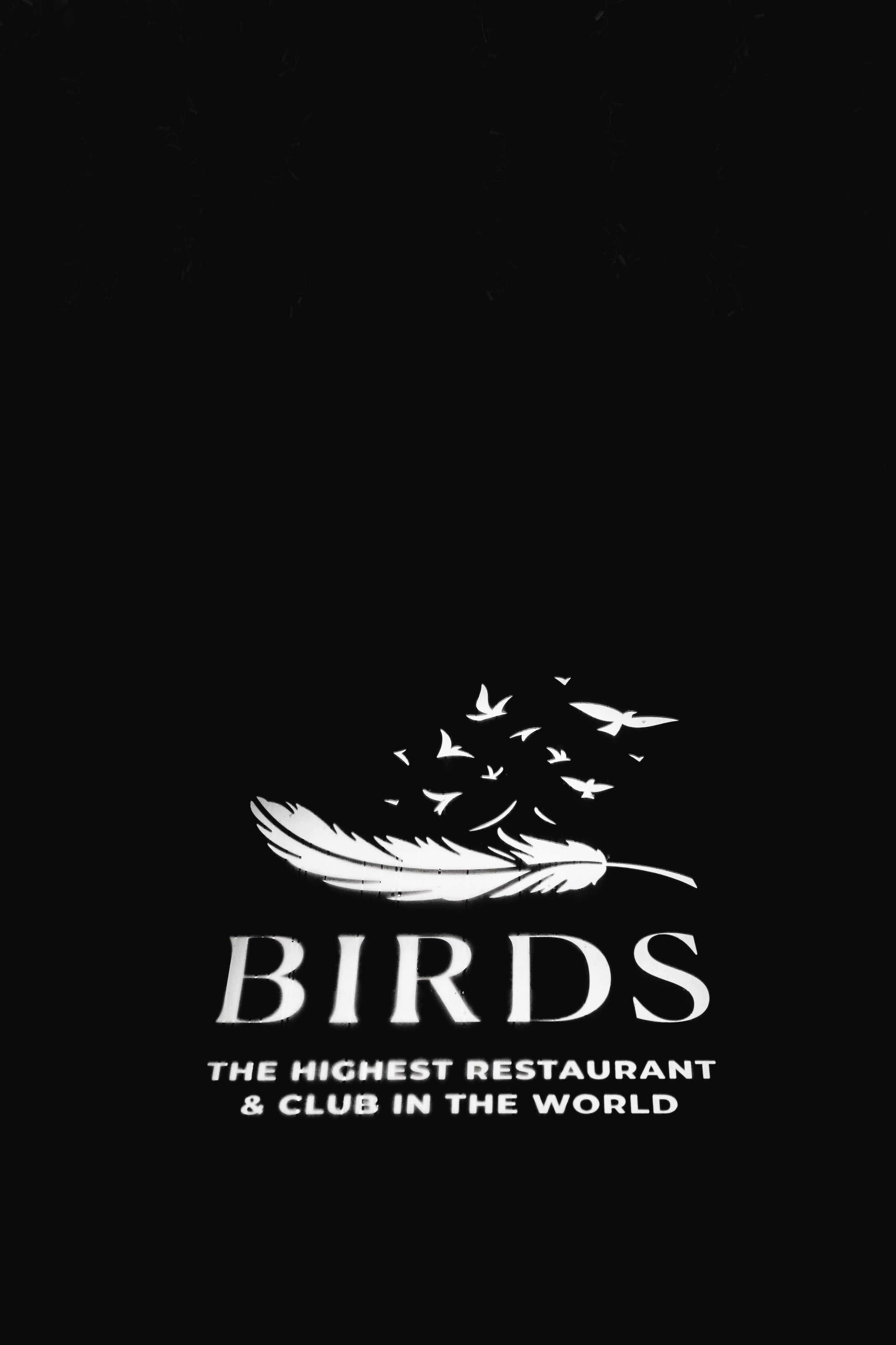 регистрация брака в Москва-Сити, Башня Око ресторан "Birds", стоимость свадебного фотографа в москве