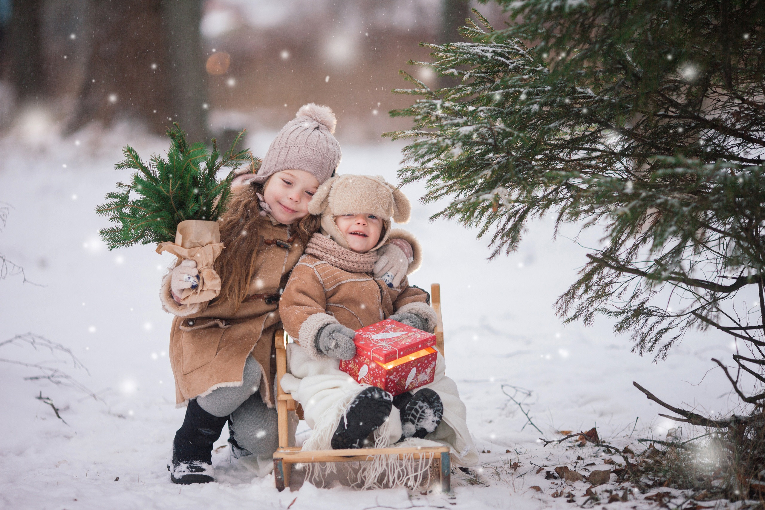 Детская фотография. Семейный фотограф Толстикова Кристина