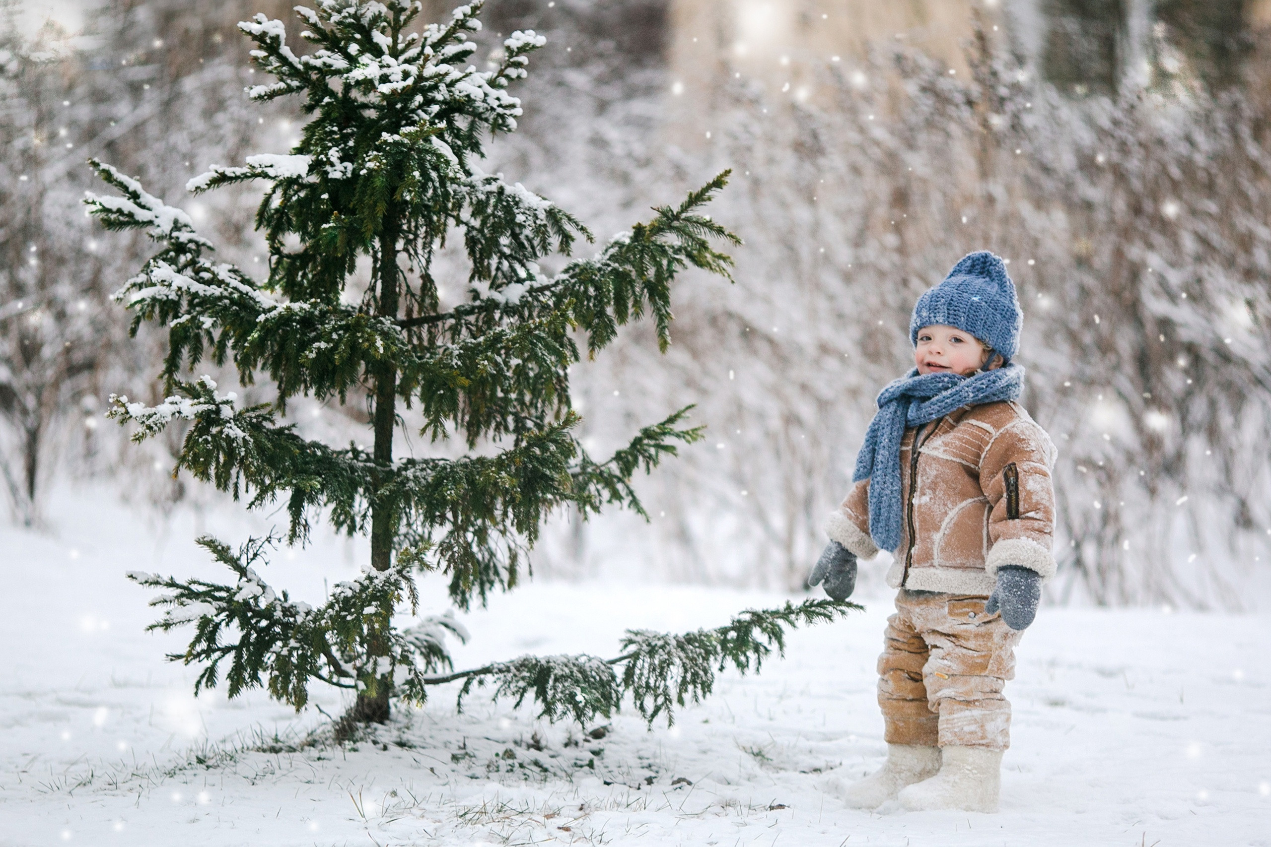 Детская фотография. Семейный фотограф Толстикова Кристина