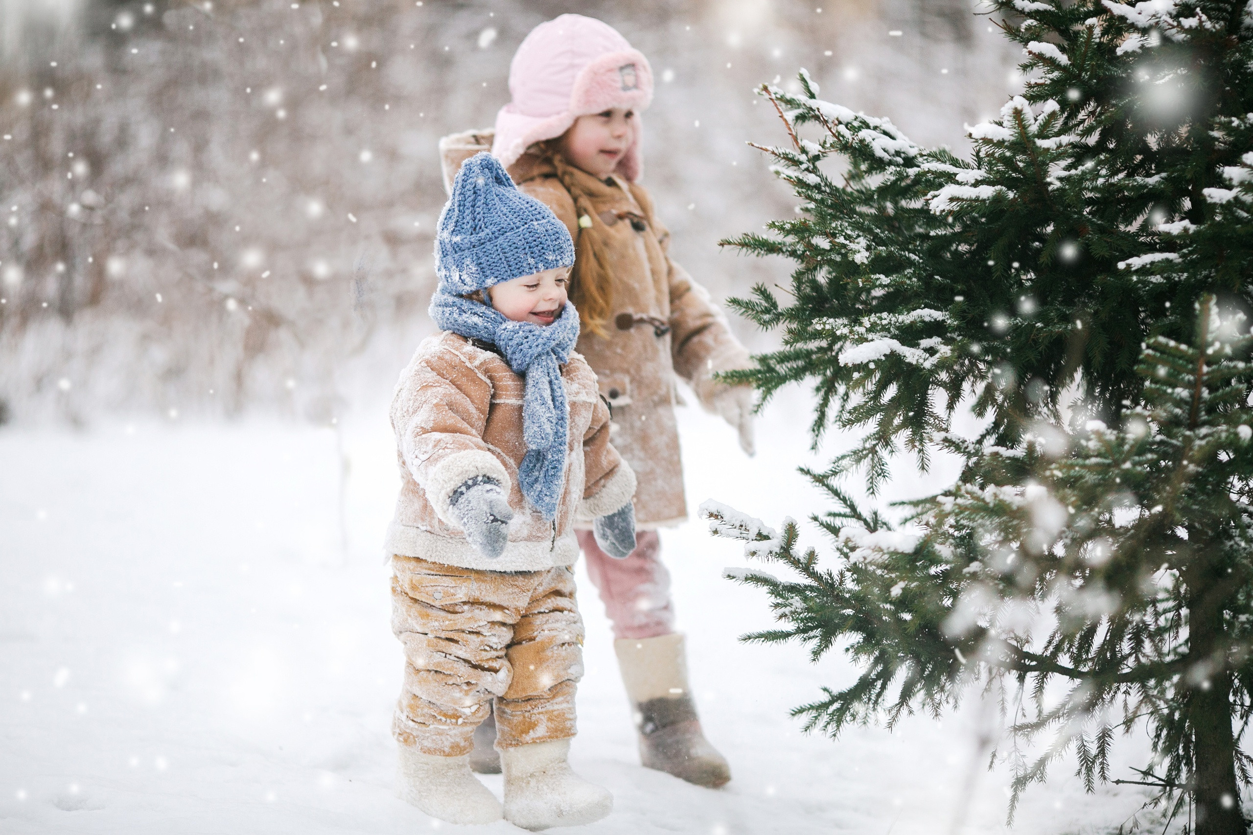 Детская фотография. Семейный фотограф Толстикова Кристина