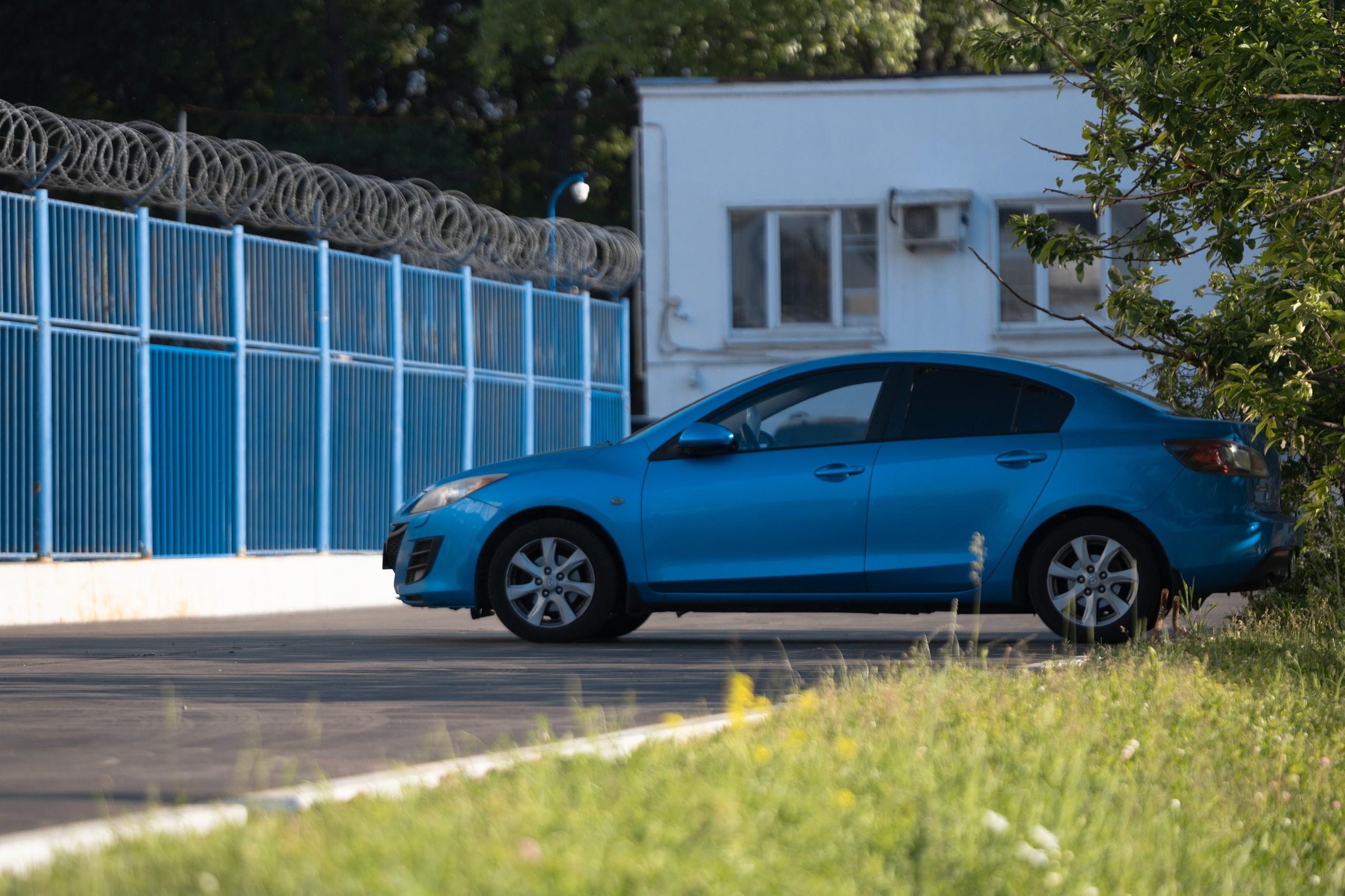 Мимикрия (Городской камуфляж). Фотограф Владимир Охрименко