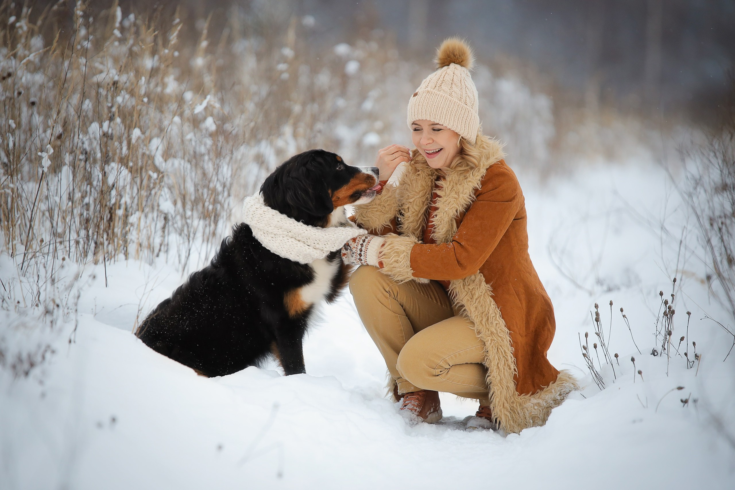Четвероногие друзья. Репортажный, семейный, школьный фотограф в Иванове Инна Крылова