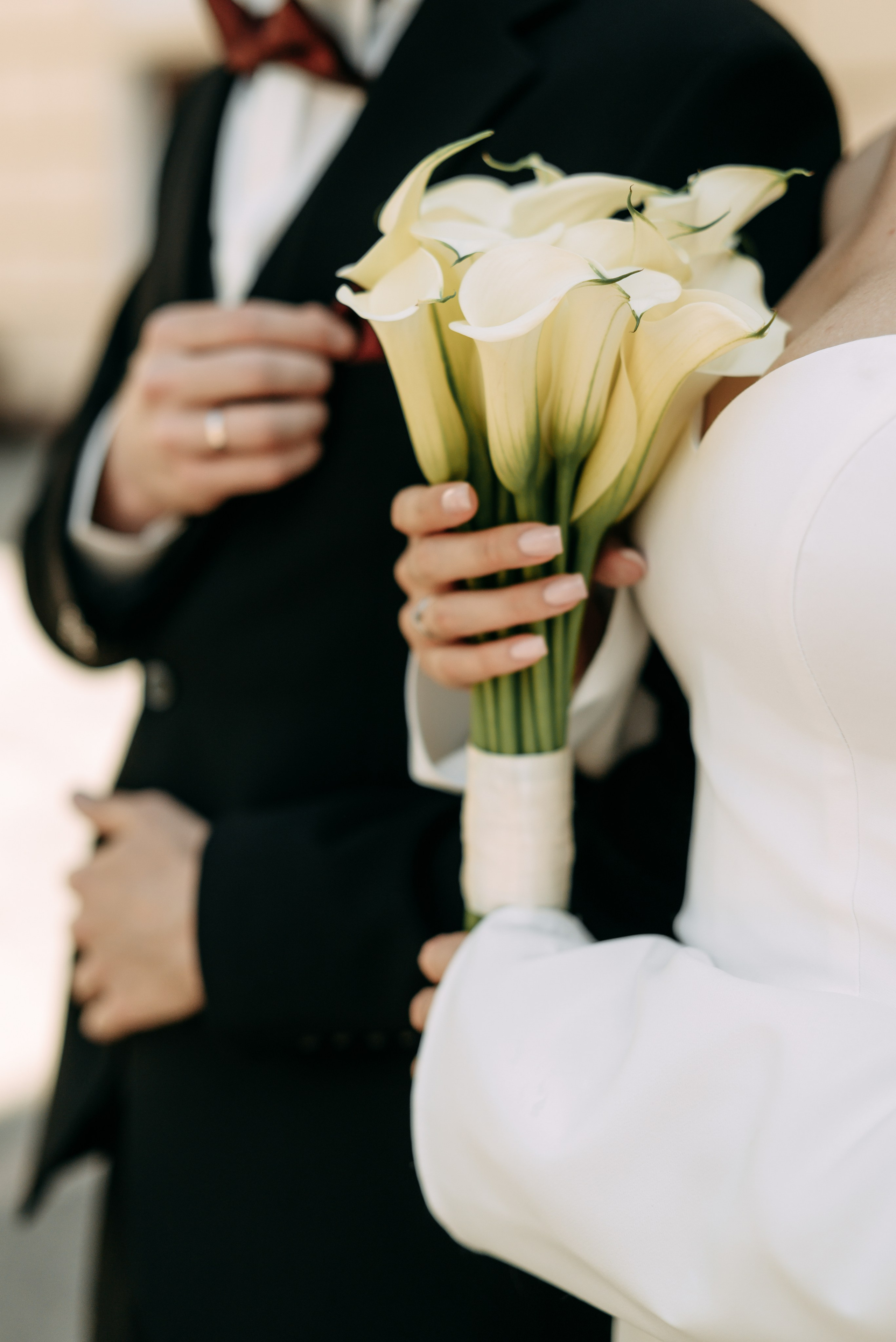 Вероника и Александр. Свадебный фотограф, фотограф беременности Дарья Доценко