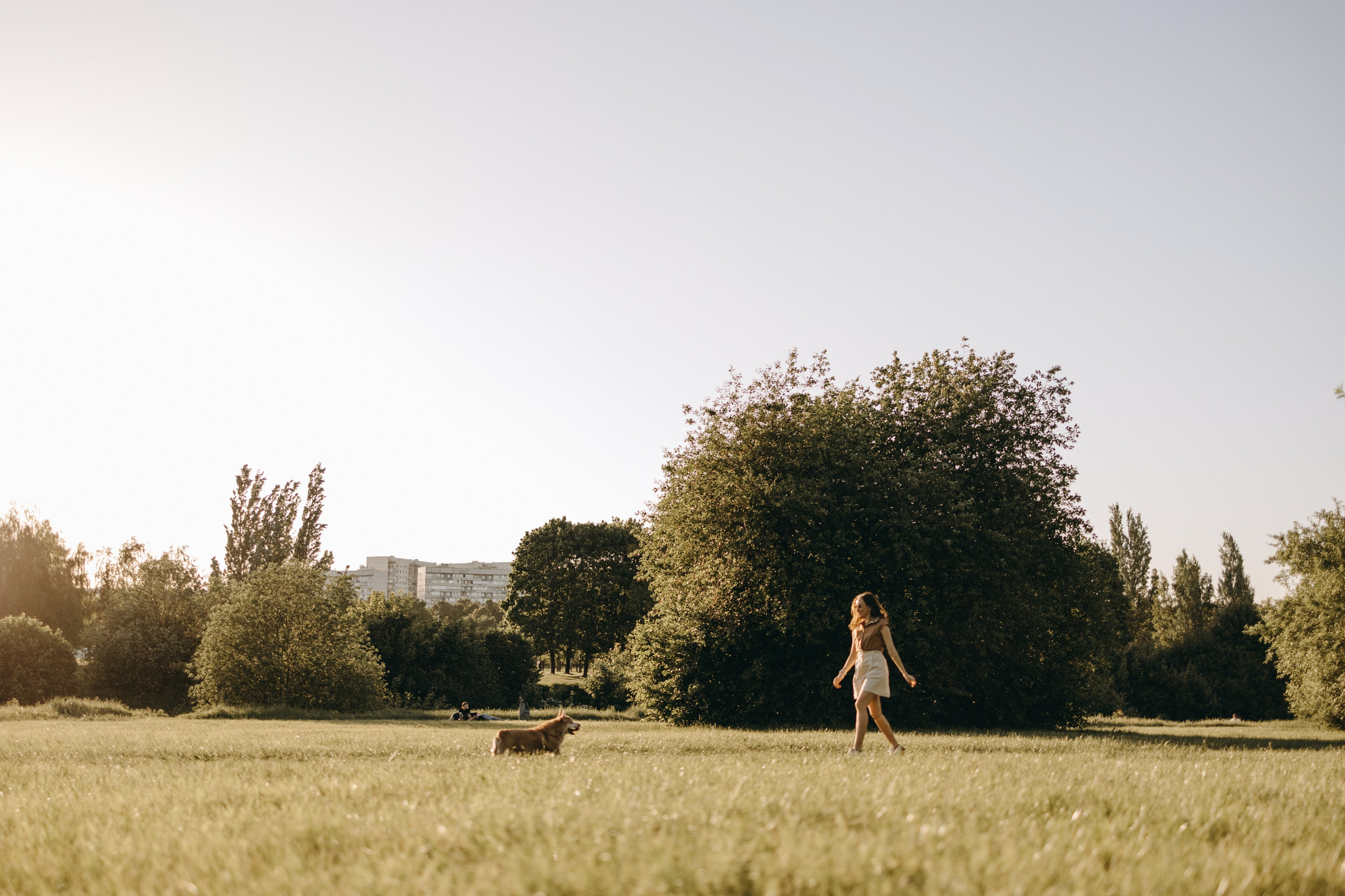Кристина и Шелби. Фотограф — Анималист | Санкт-Петербург