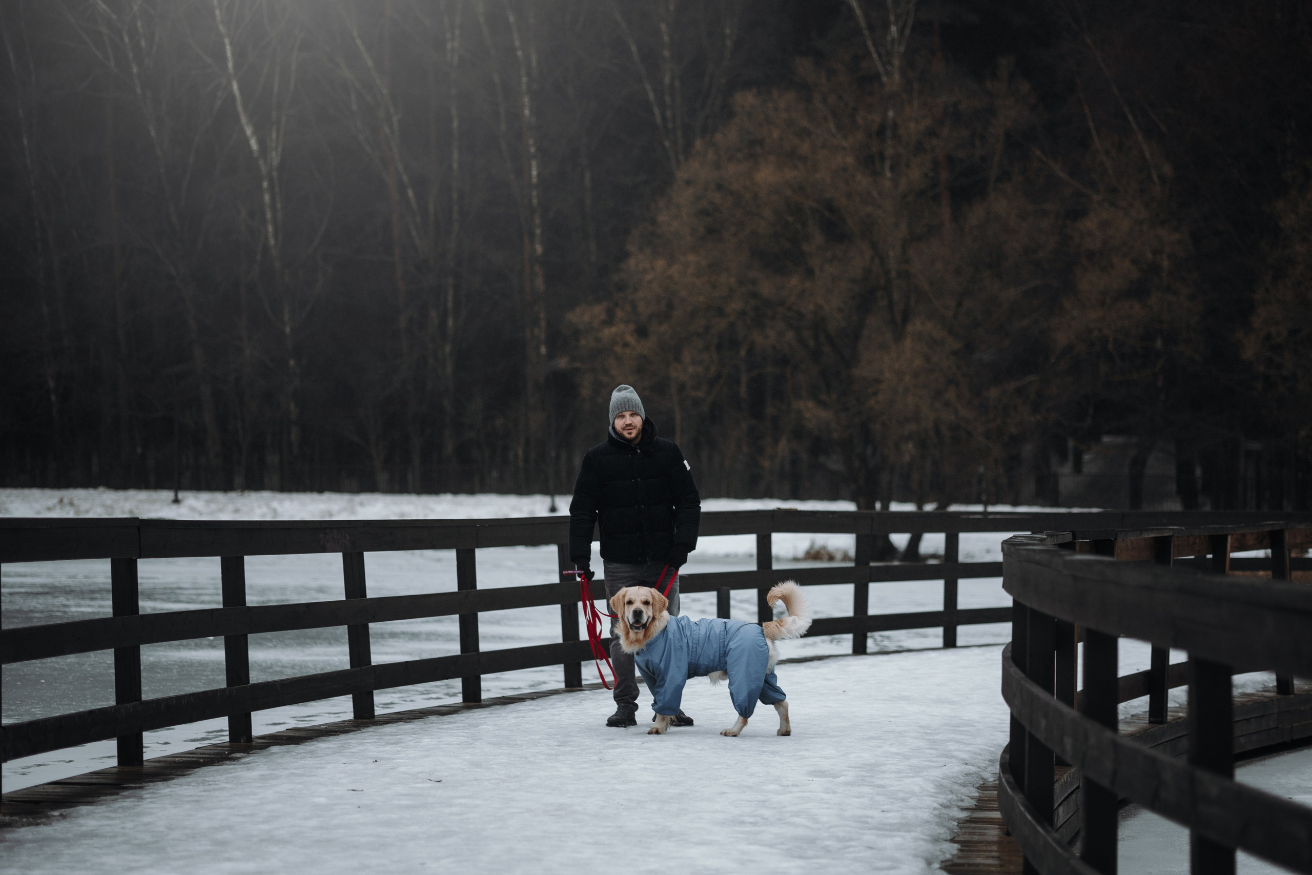 Шелби, Ватсон и ребята. Фотограф — Анималист | Санкт-Петербург
