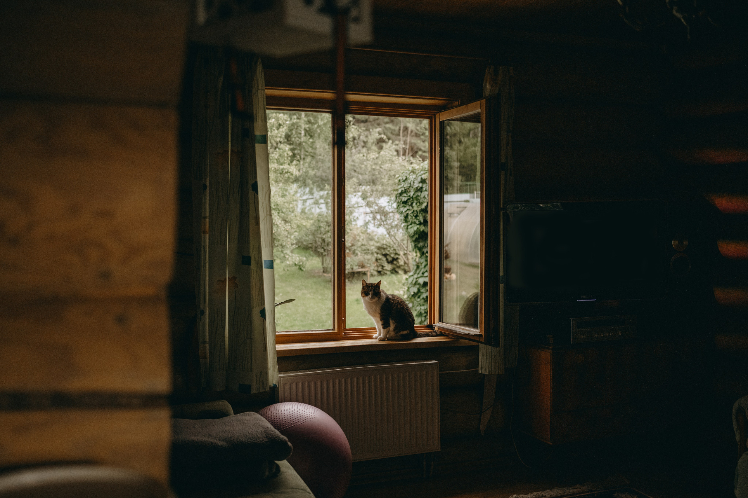 Дом у реки. Фотограф — Анималист | Санкт-Петербург