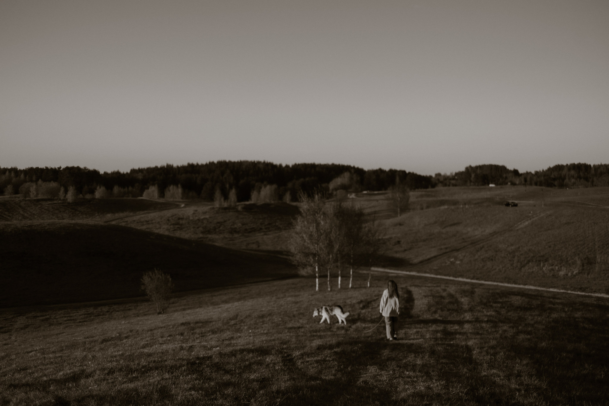 Саша и Зельда. Фотограф — Анималист | Санкт-Петербург
