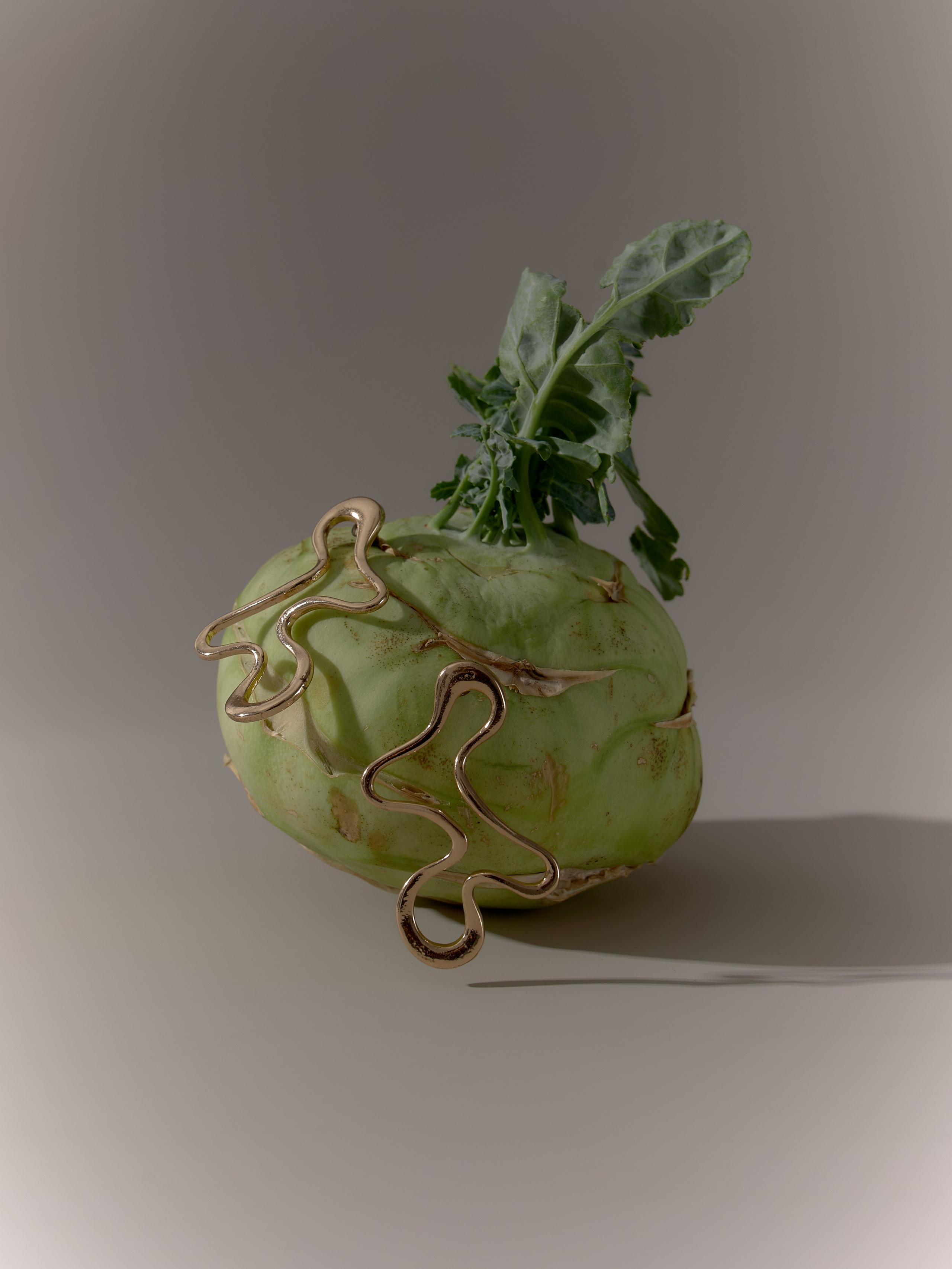 Предметная съемка still life кадров Ростов-на-Дону. Предметный и бизнес фотограф в Ростове-на-Дону Александра Степанова