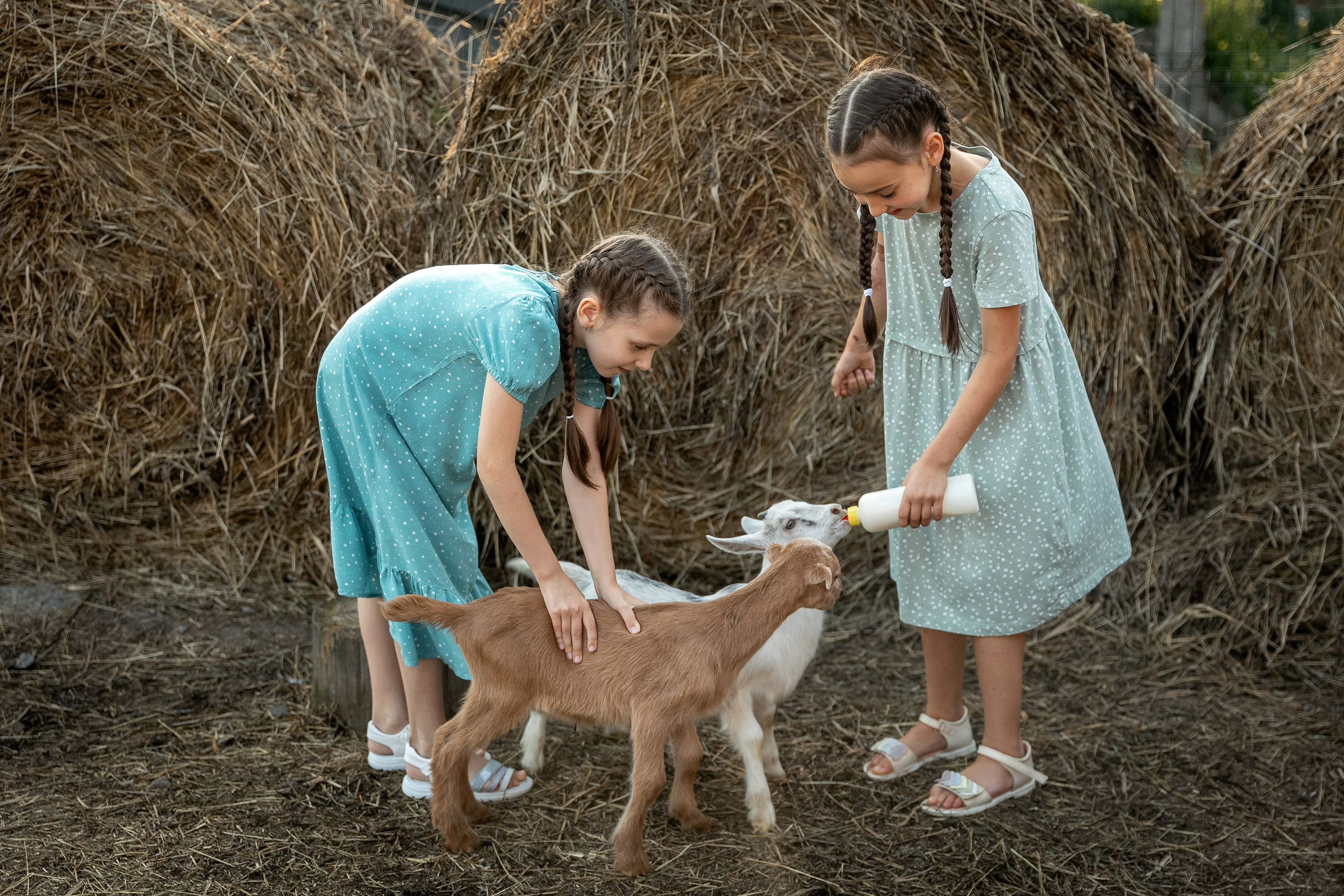 Выездные фотопрогулки. Семейный Фотограф Иванова Натали, Санкт-Петербург