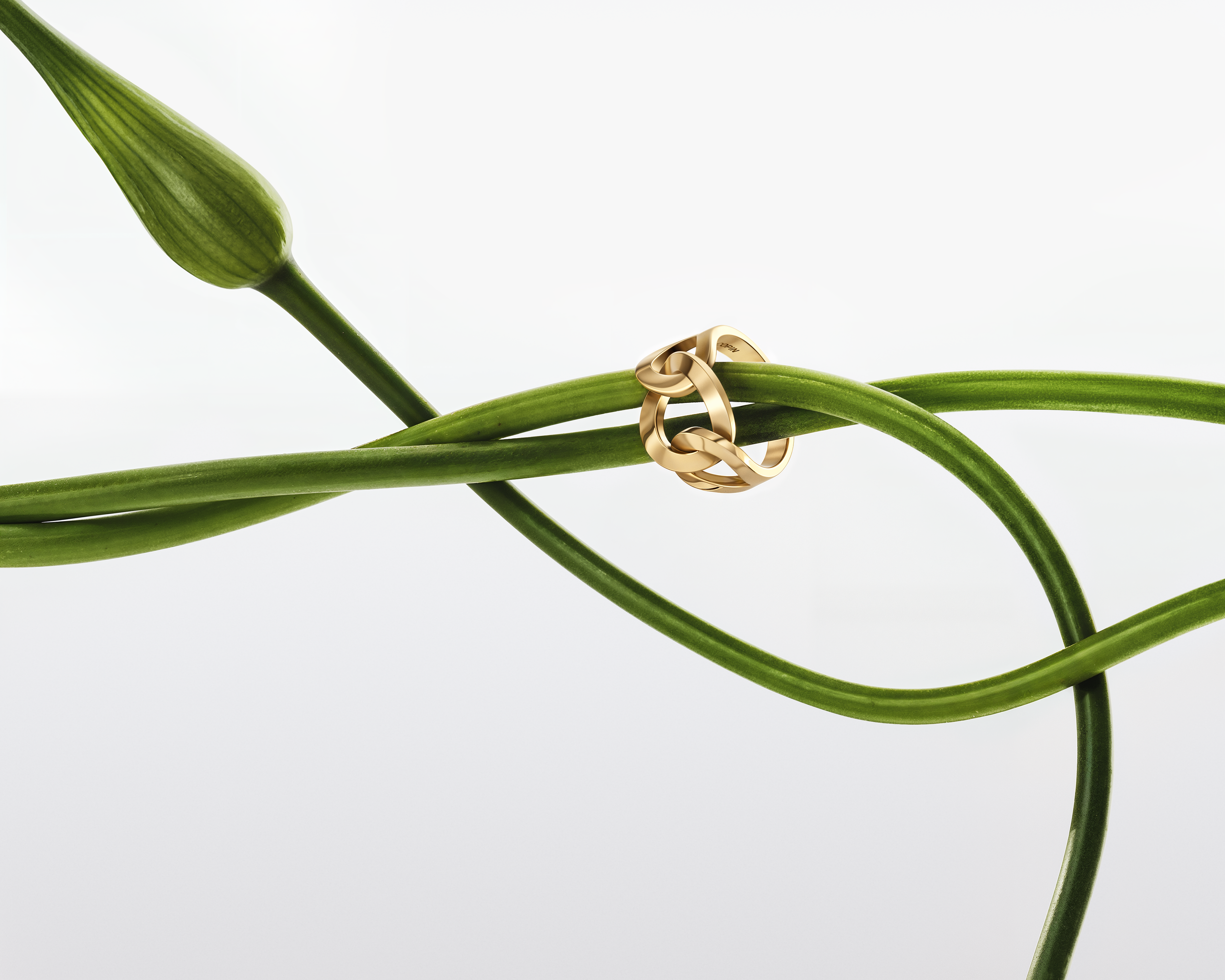 Jewelry. Retouching service