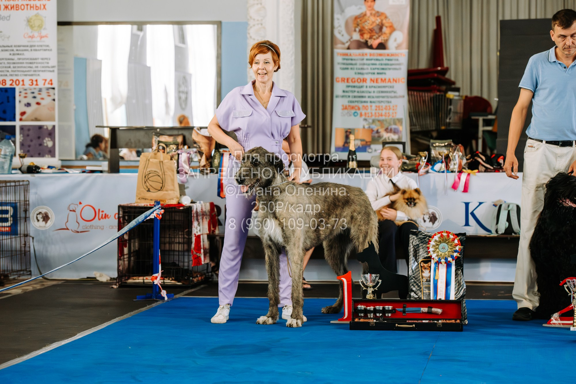 Национальная выставка собак всех пород ранга САС-IKU «Кубок Красноярск. Фотограф Диана Оленина Красноярск / Братск