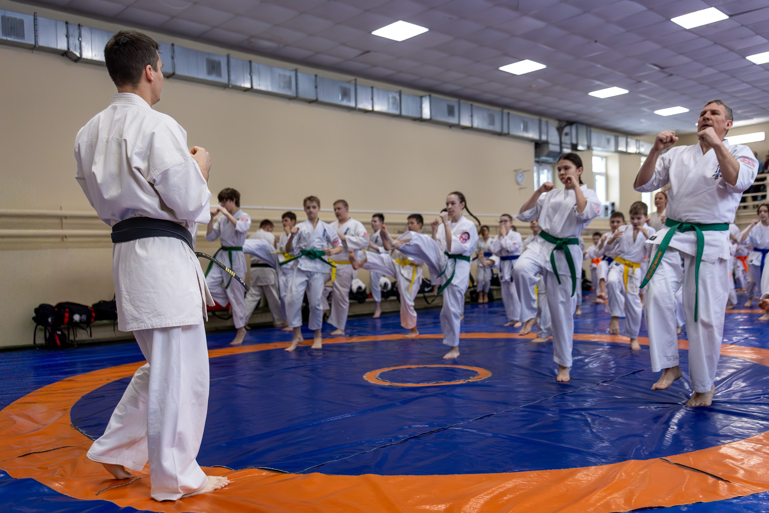 Открытый урок по карате февраль 2026. Главная