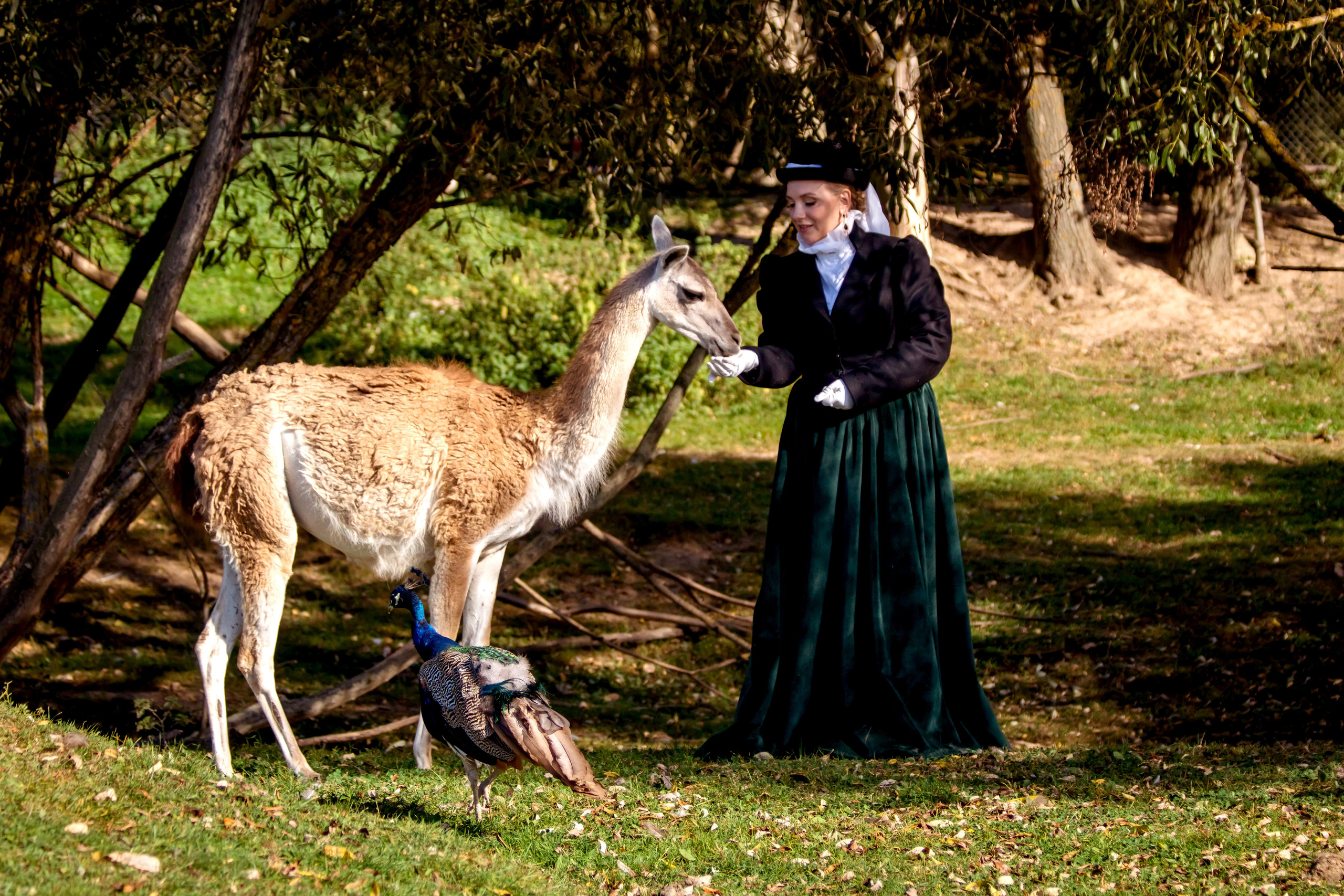 Фотосессия в Аванпост. Фотограф анималист — Тула, Москва