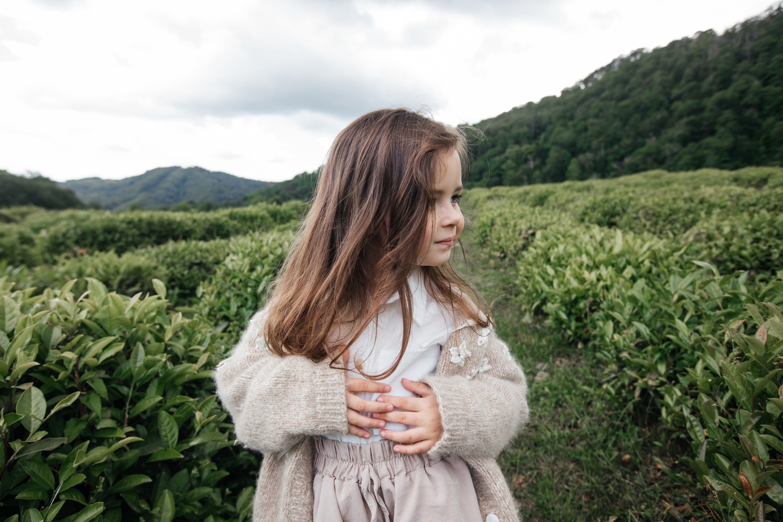 Tea plantation. Efimova Model Agency