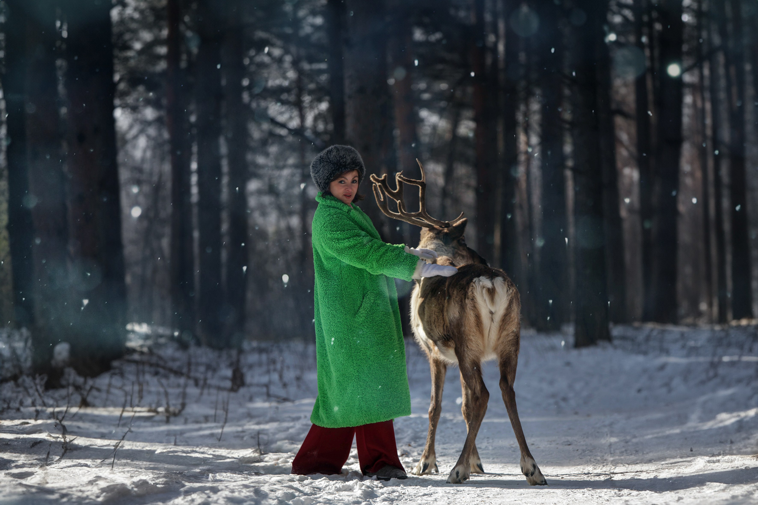 Олениха Нося 2024. Конный фотограф в Красноярске — Любовь Похабова