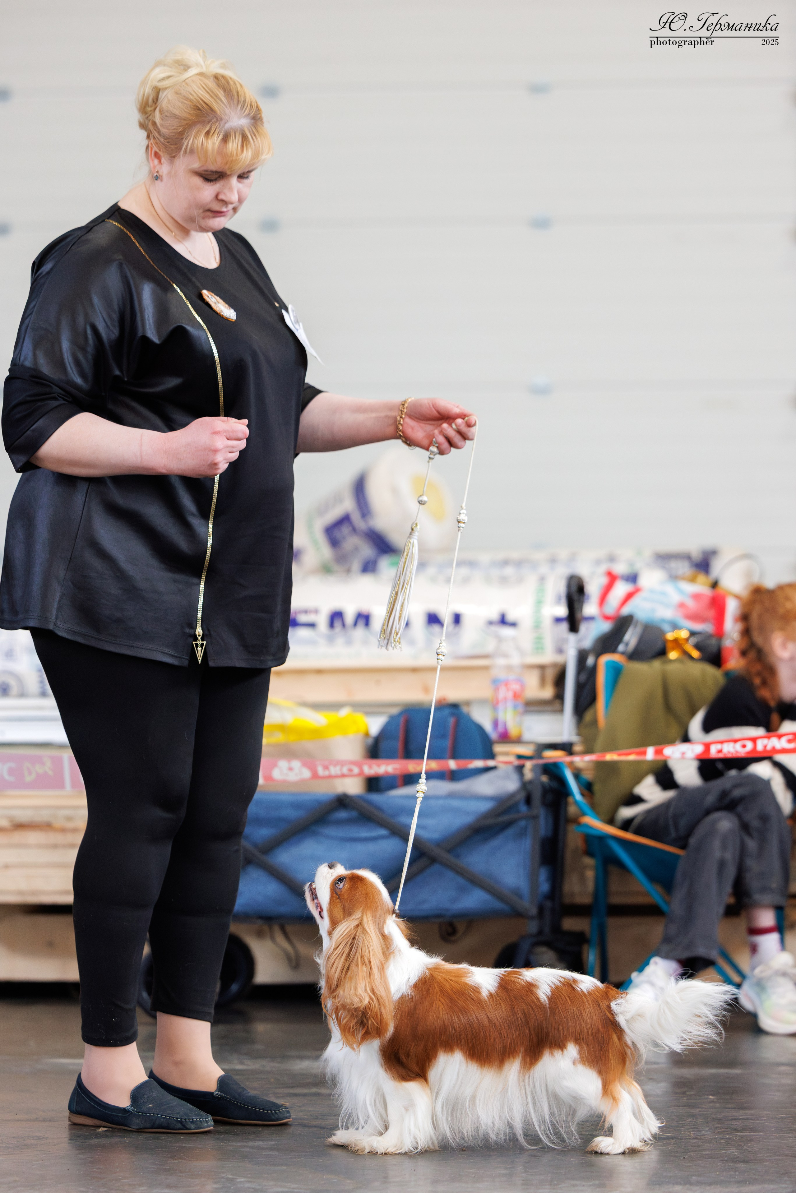 Тверь 12.04,Сфера 13.04,Сергиев Посад 19.04.2025. Фотограф-анималист Юлия Германика