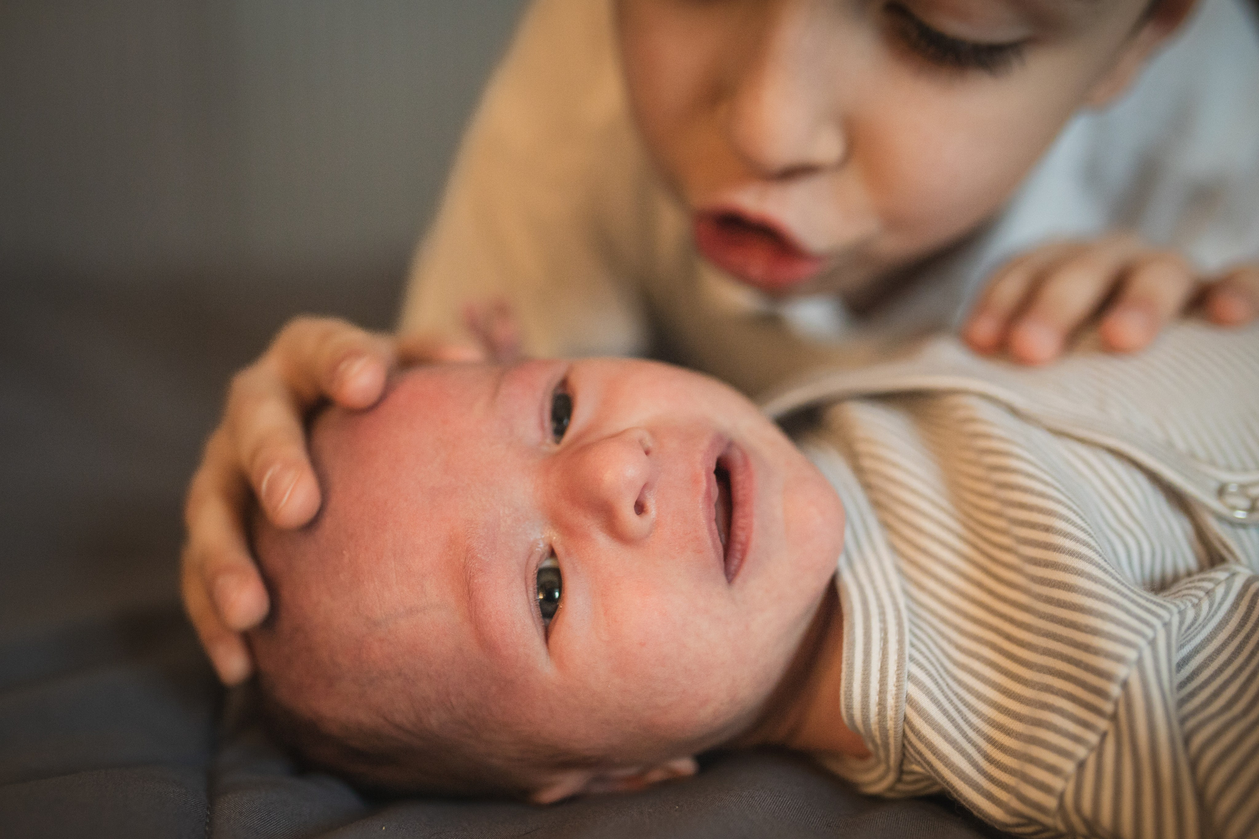 Младший брат. Семейный и школьный фотограф в Москве Анна Ткач