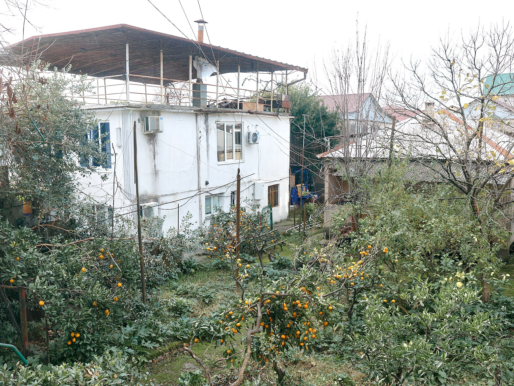 Гагра, Абхазия. Декабрь 2024. Фотографии отовсюду и обо всем