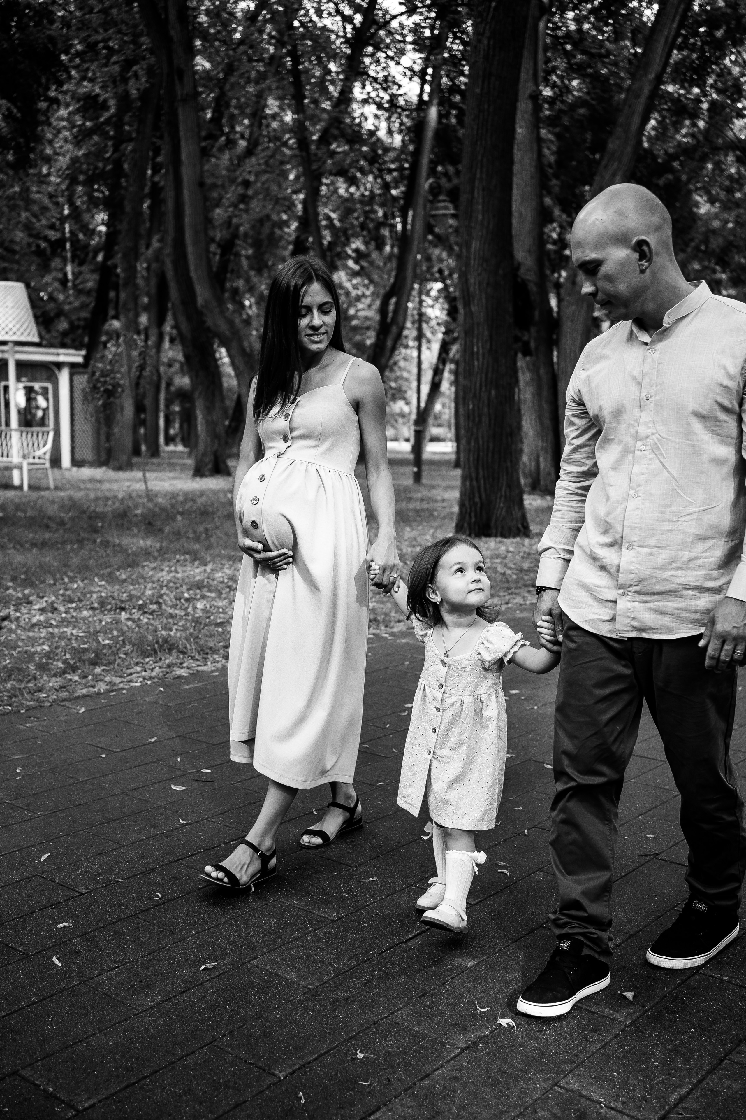 Абиша и Илья