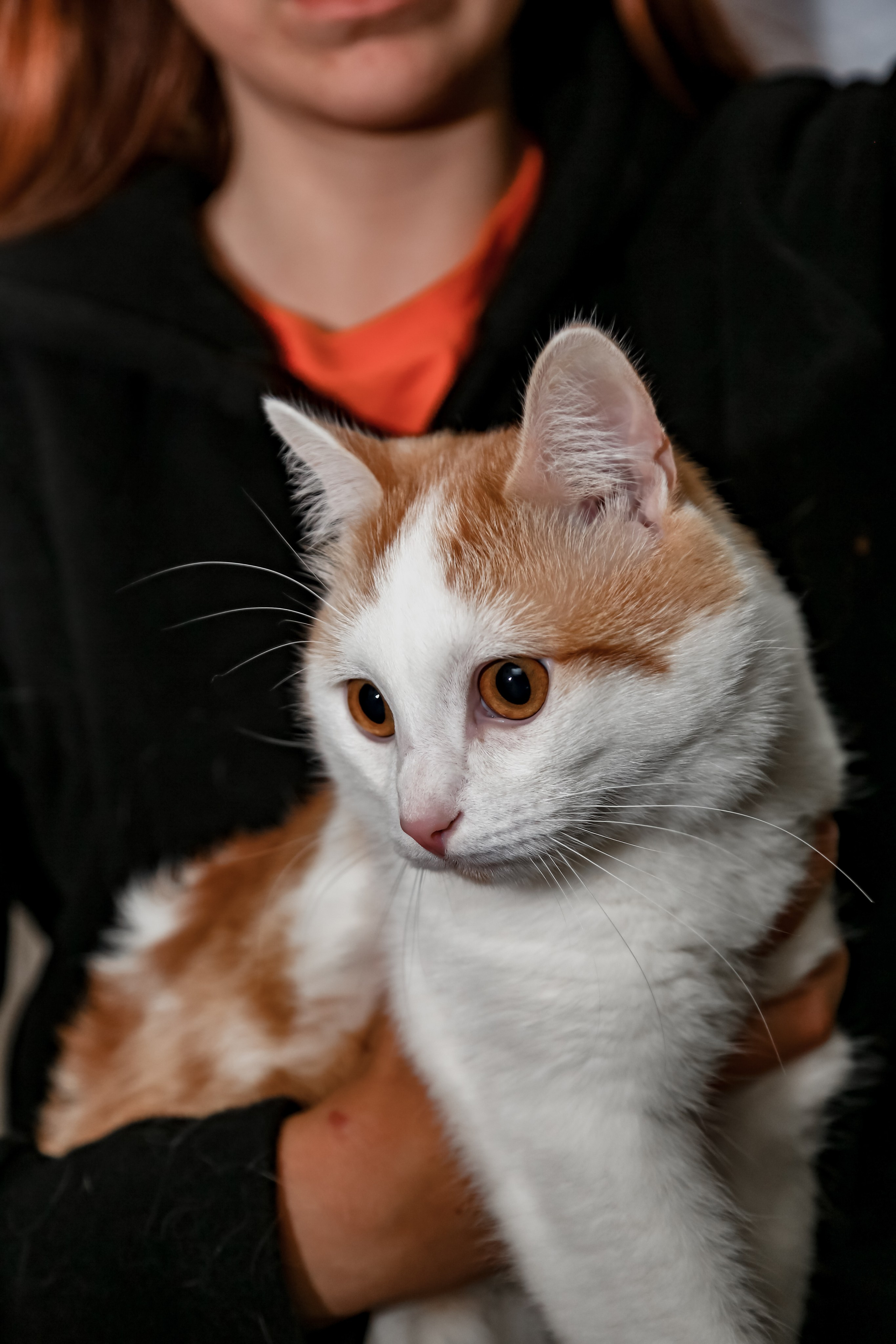 Приют Кошкин Дом Филимоша. Ваш фотограф в Оренбурге Рощупкина Екатерина