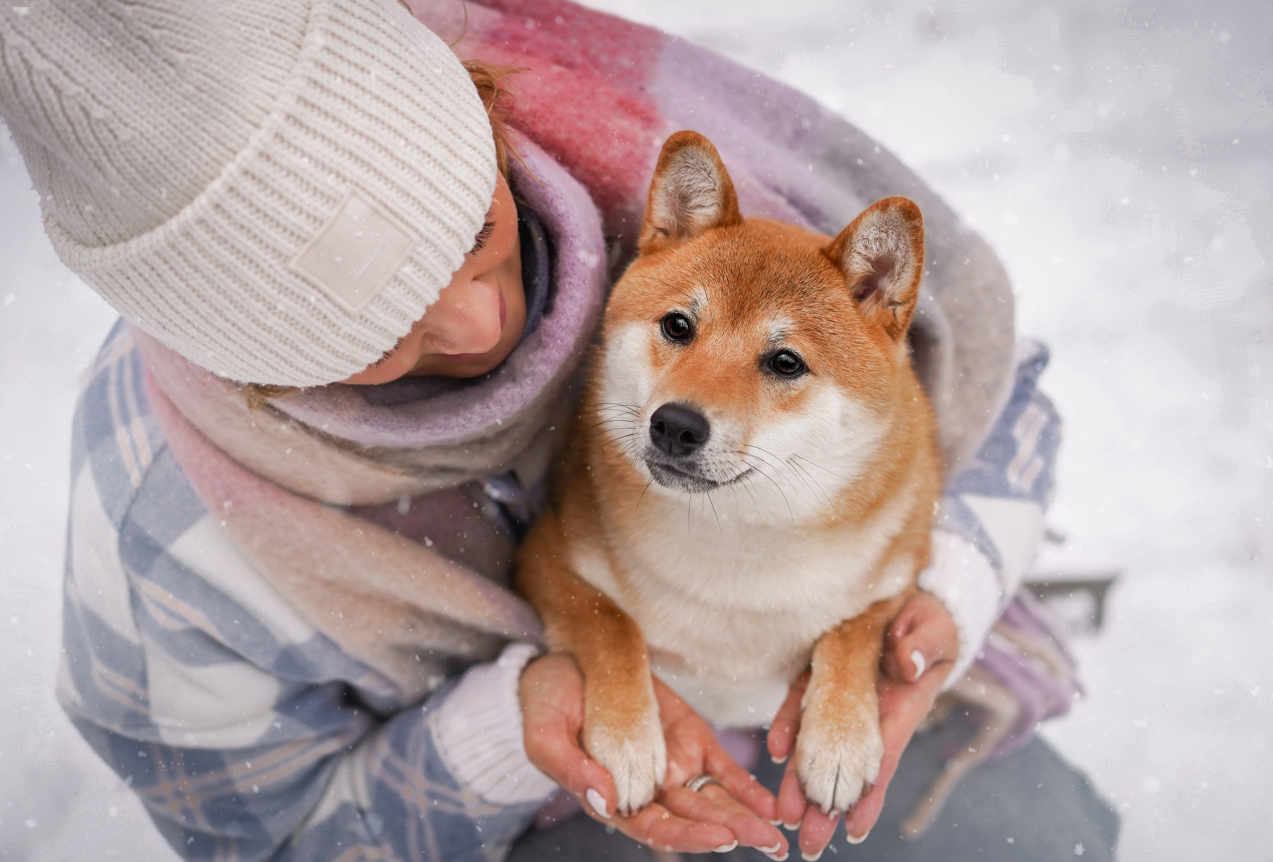Алина и Юми. Фотограф-анималист в Санкт-Петербурге Яна Мартынова