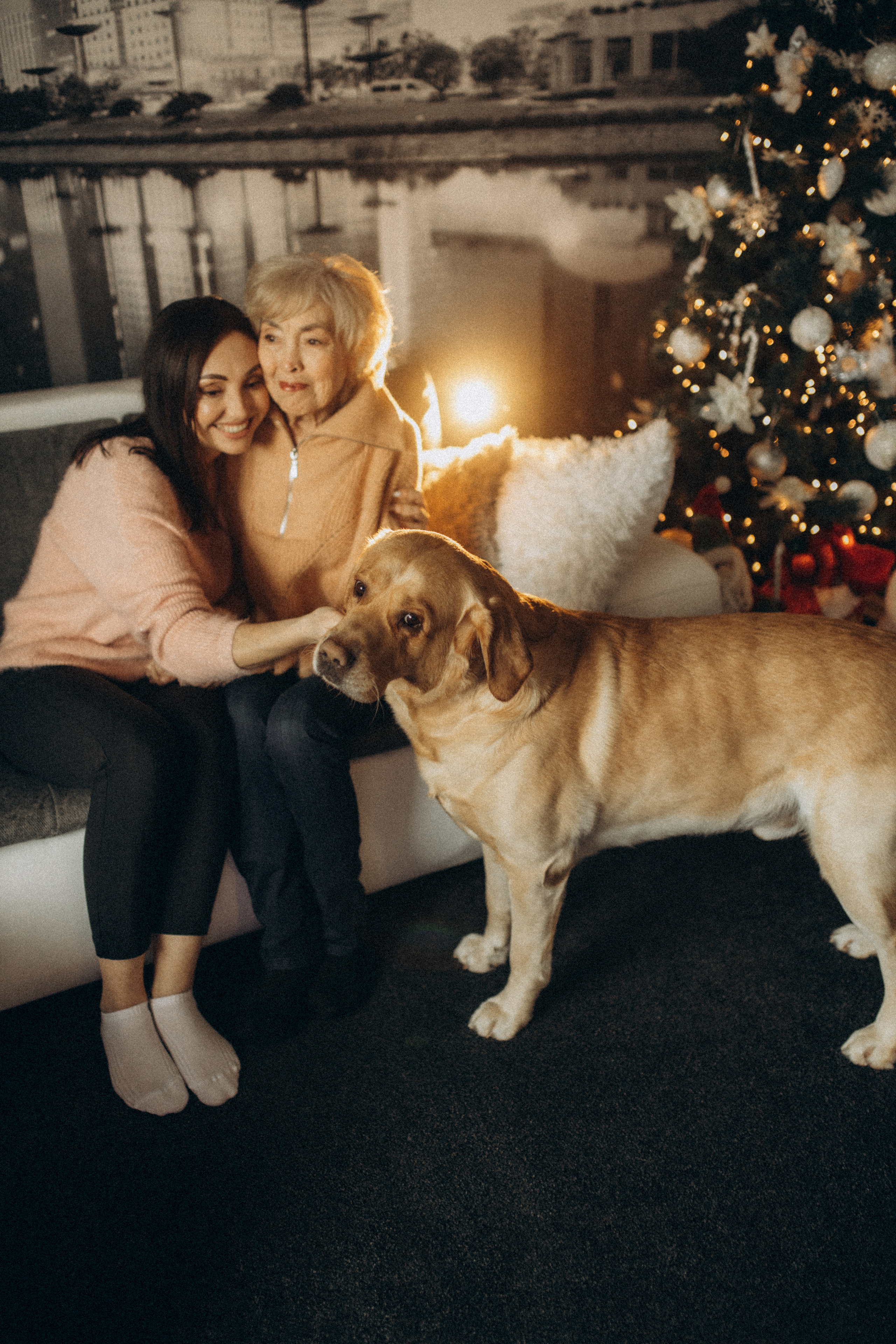 Family. Семейный фотограф Оля Гладченко