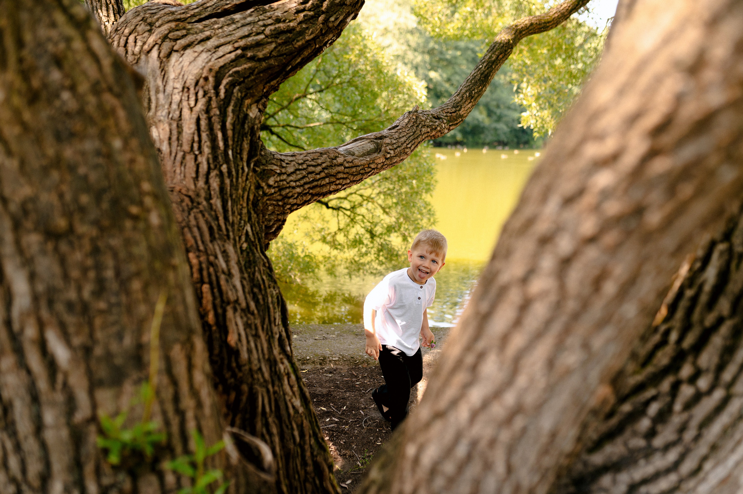 НА ДЕРЕВО ЗАЛЕЗУ. Шашкова Вероника / Свадебный и семейный фотограф Москва и Ярославль