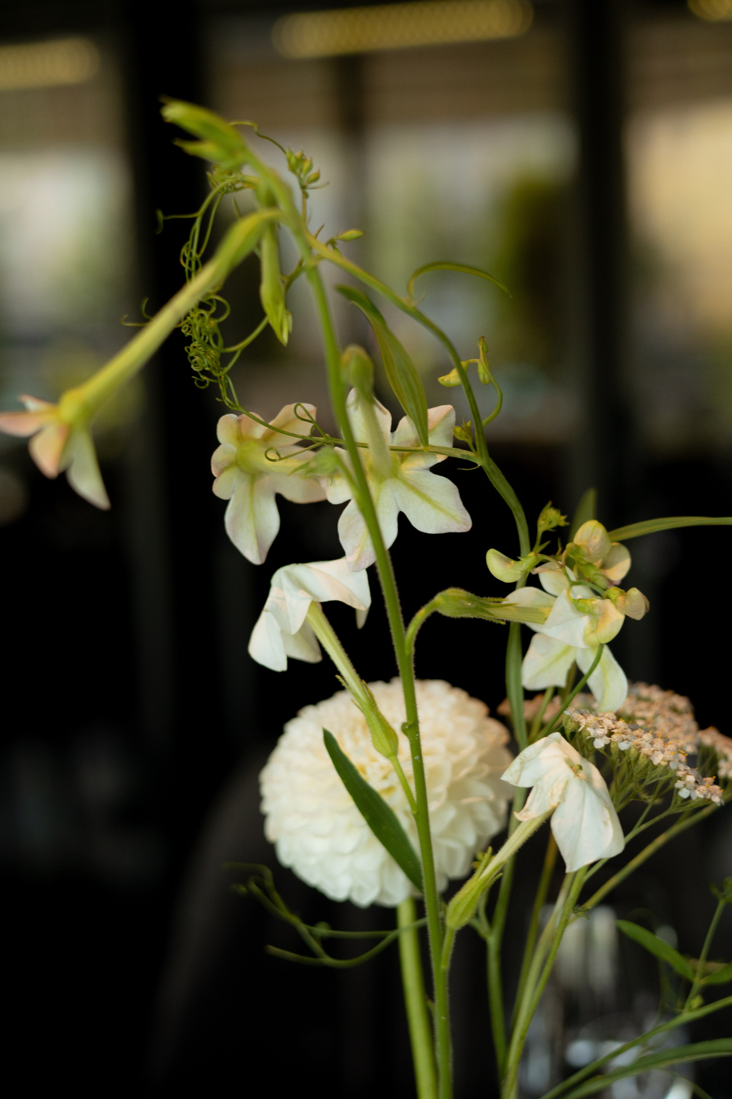 Алина & Николай. Оформление свадеб, декор свадеб Вера Маркова, Москва