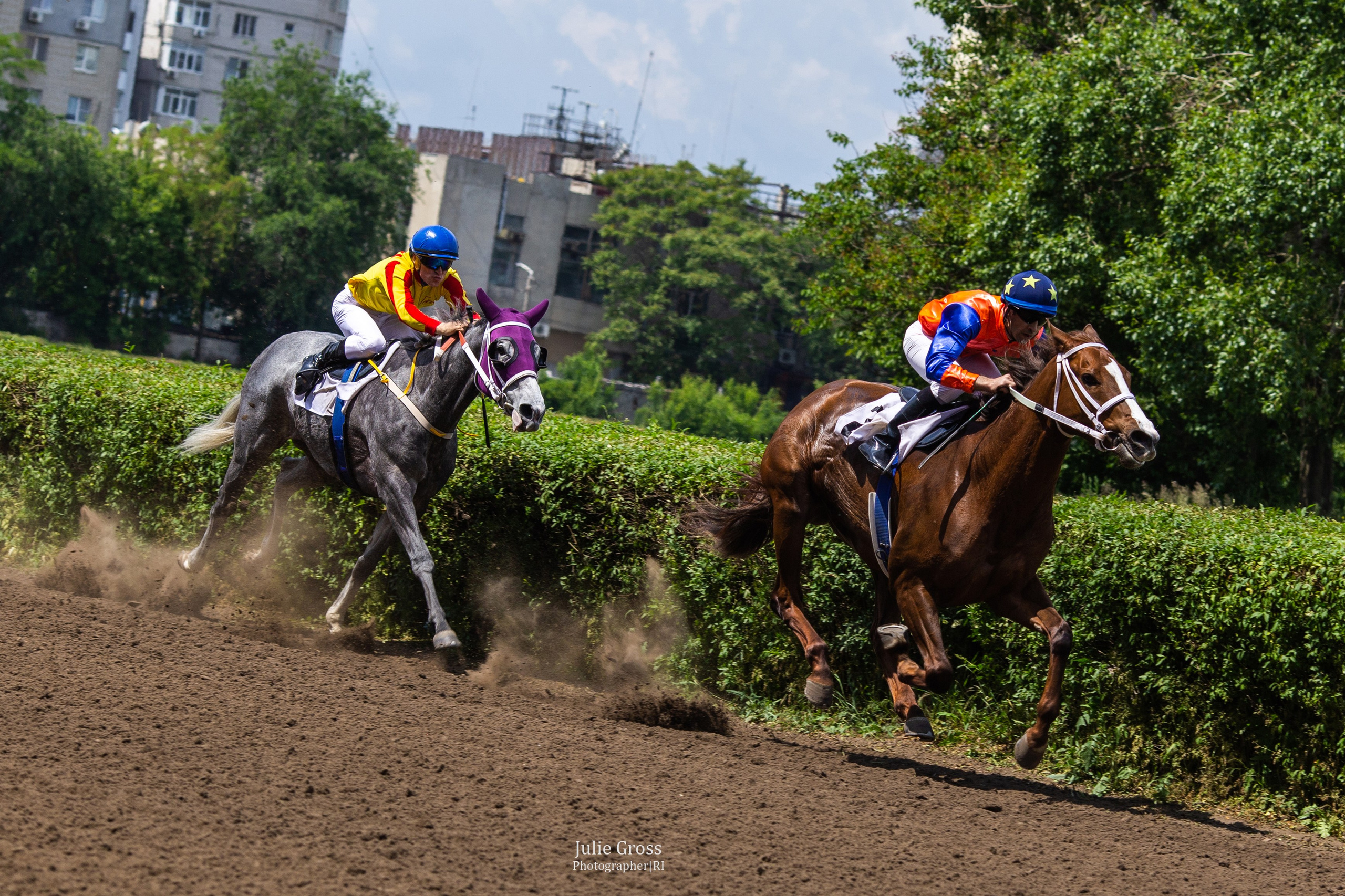 Скачки. Фотосессии Ростов-на-Дону, Новочеркасск Юлия Гросс