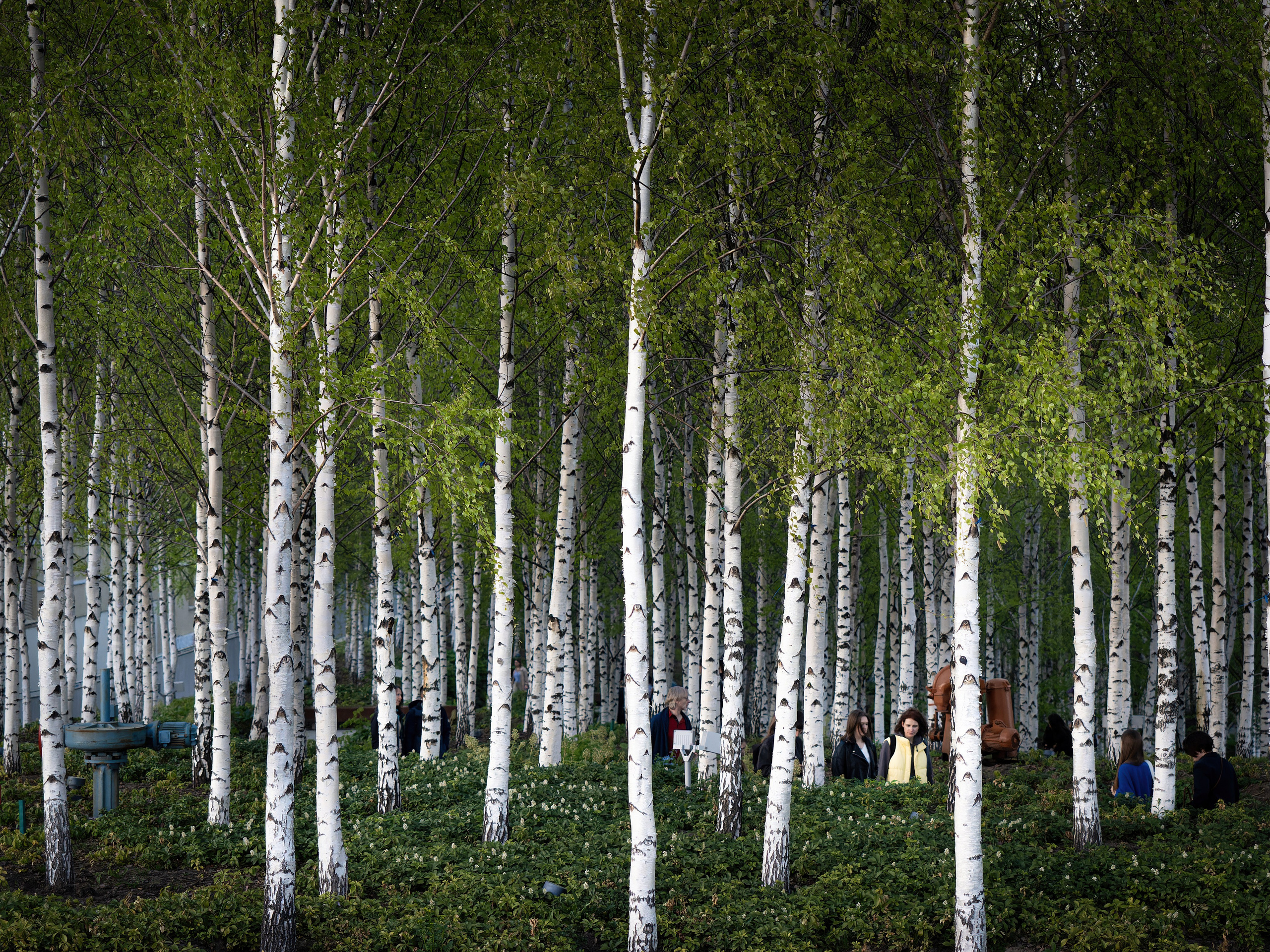 Улица и пейзаж. Oles Paritskiy